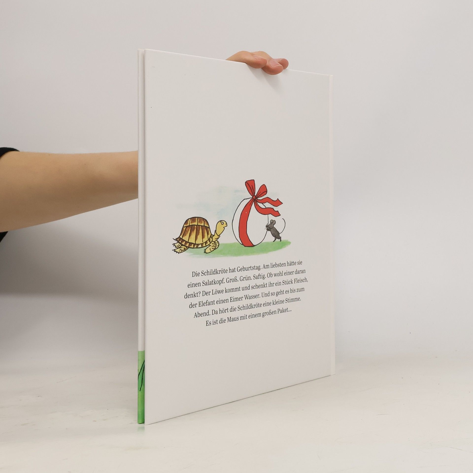 Autorenkollektiv Die Schildkröte hat Geburtstag