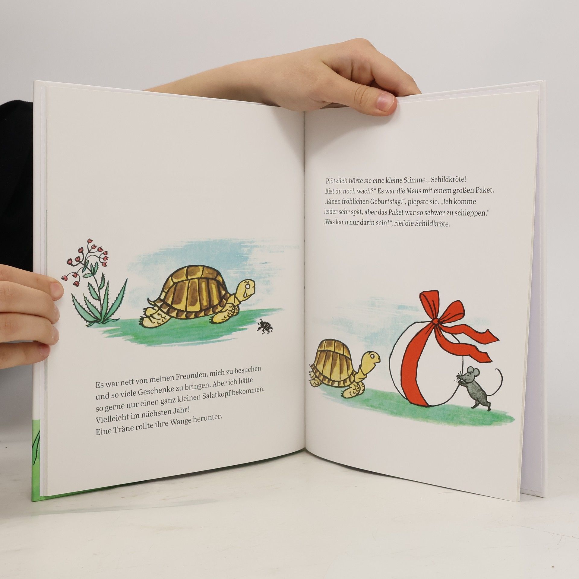 Autorenkollektiv Die Schildkröte hat Geburtstag