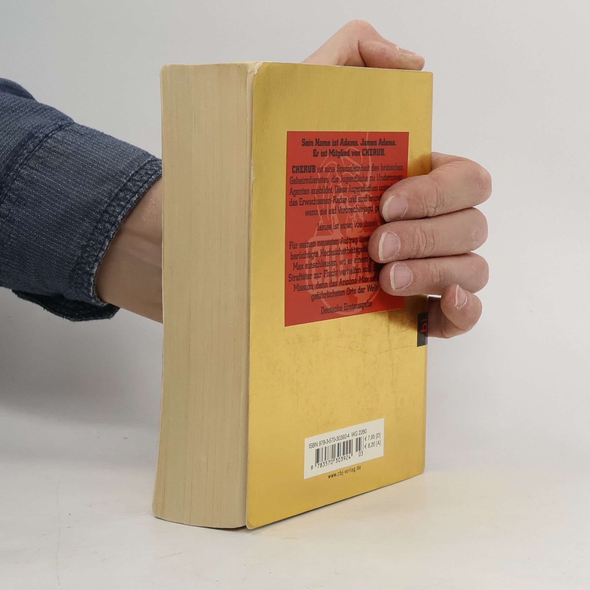 Robert Muchamore Top Secret 03. Der Ausbruch