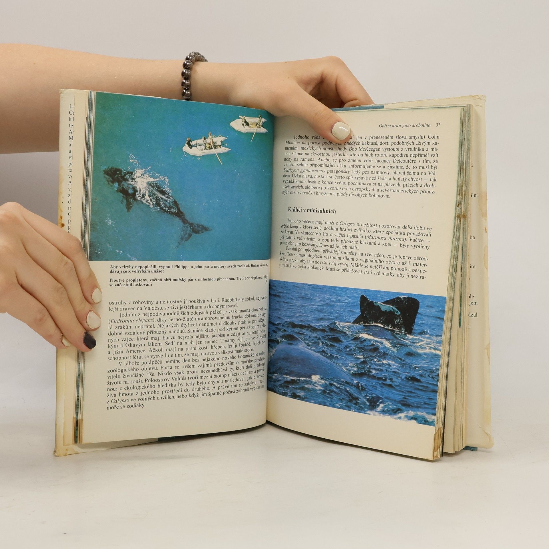 Jacques-Yves Cousteau Život na konci světa