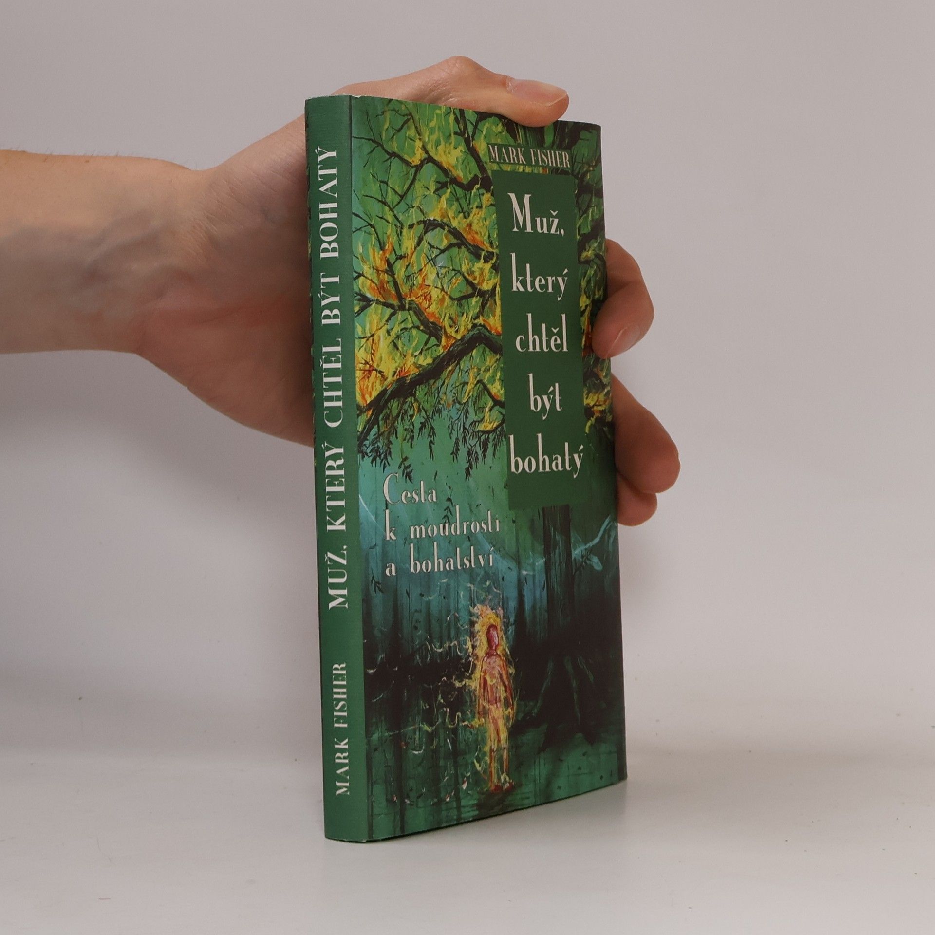 Mark Fisher Muž, který chtěl být bohatý