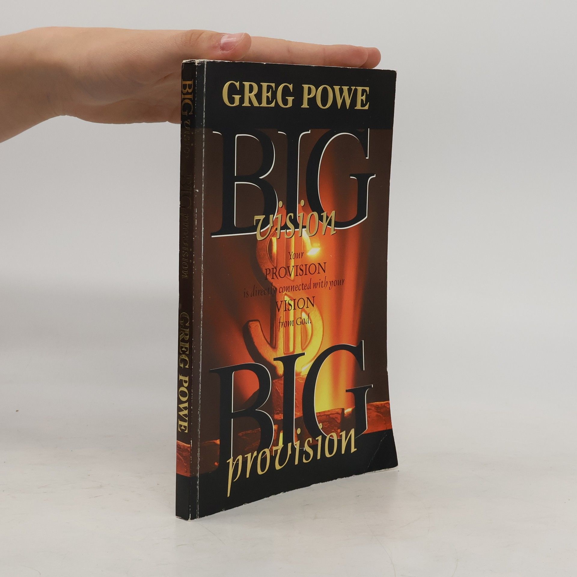 Big Vision, Big Provision