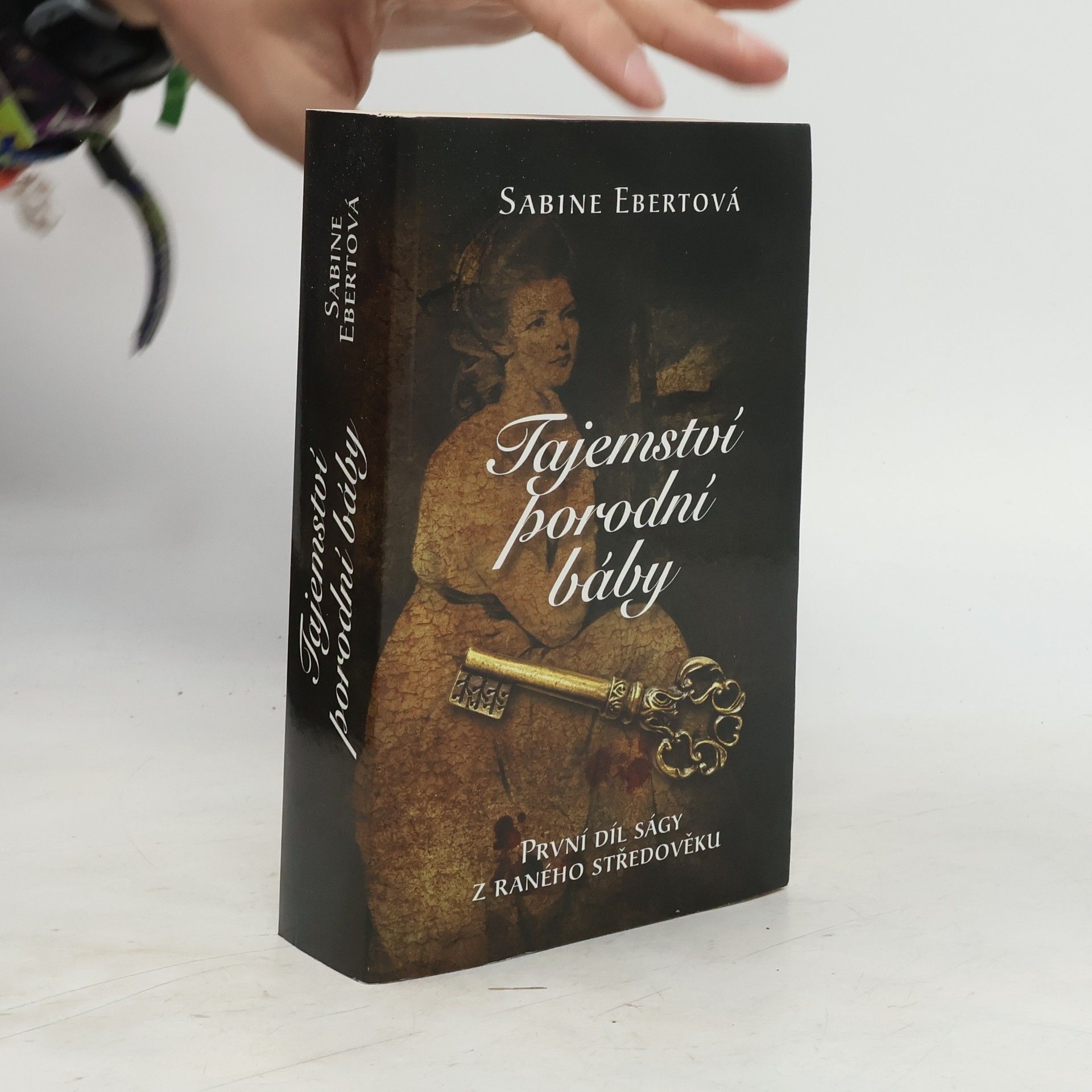 Sabine Ebertová Tajemství porodní báby