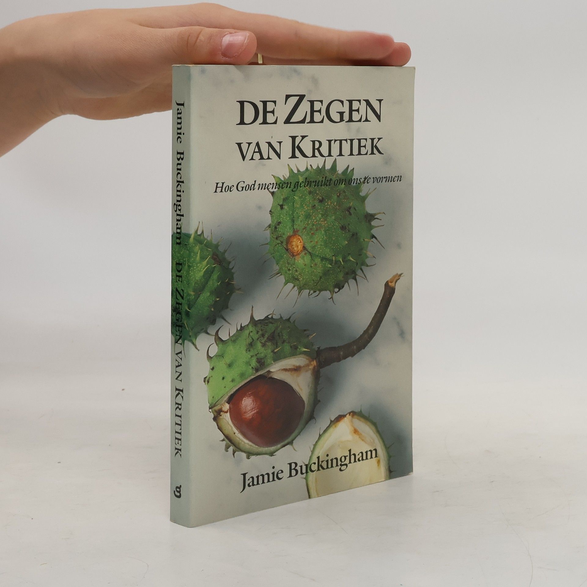 Jamie Buckingham De zegen van kritiek