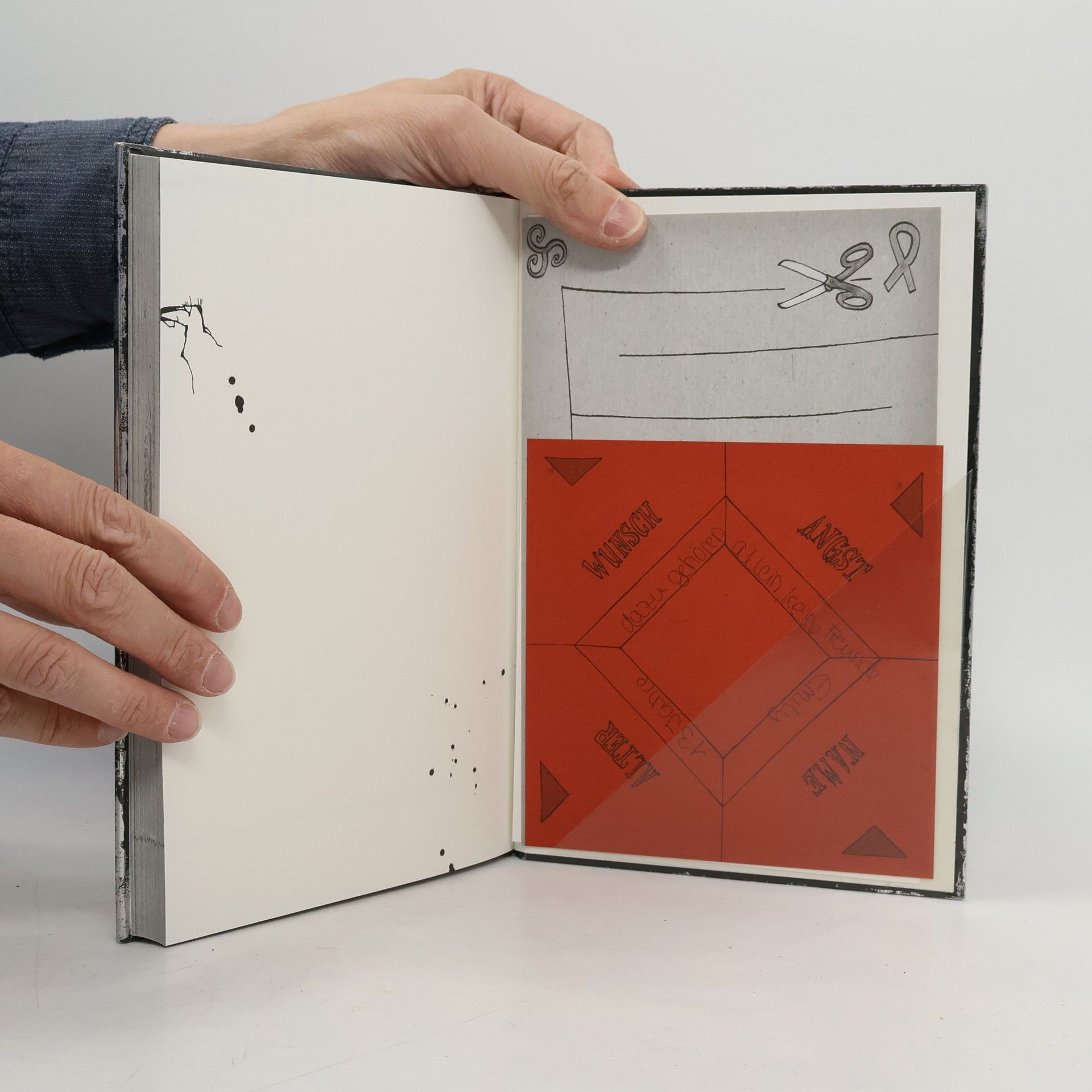 Magnnus Myst Das böse Buch