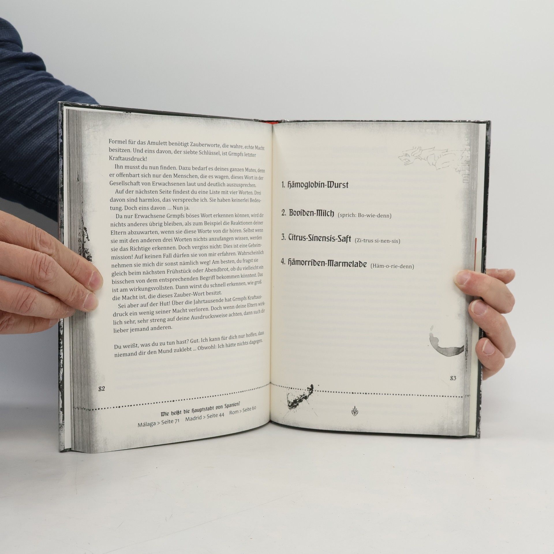 Magnnus Myst Das böse Buch