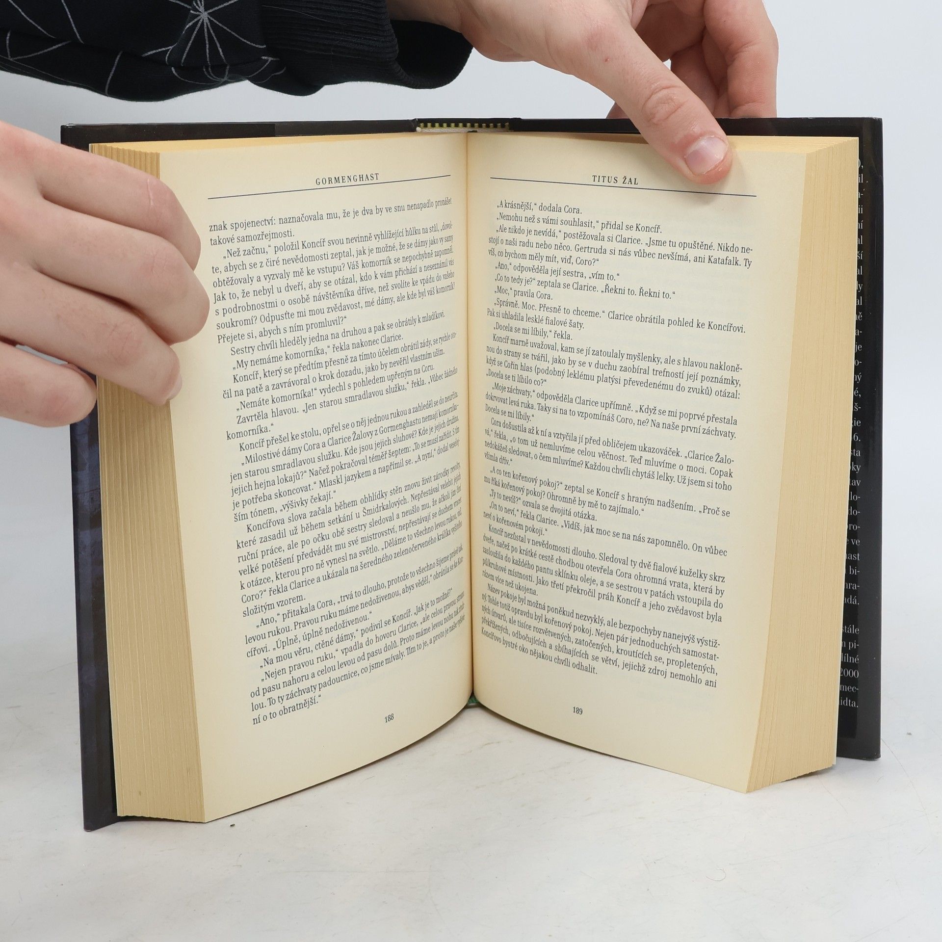 Mervyn Peake Gormenghast. Svazek I. Titus Žal