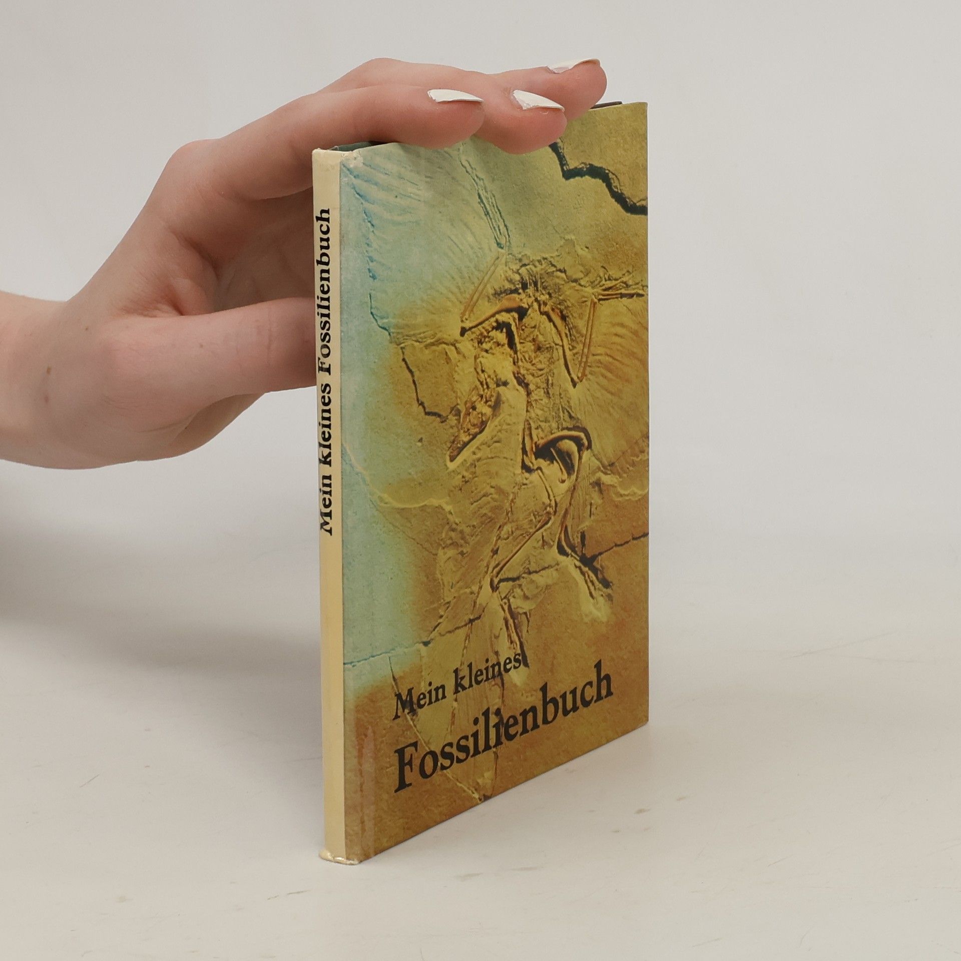 Rudolf Daber Mein kleines Fossilienbuch