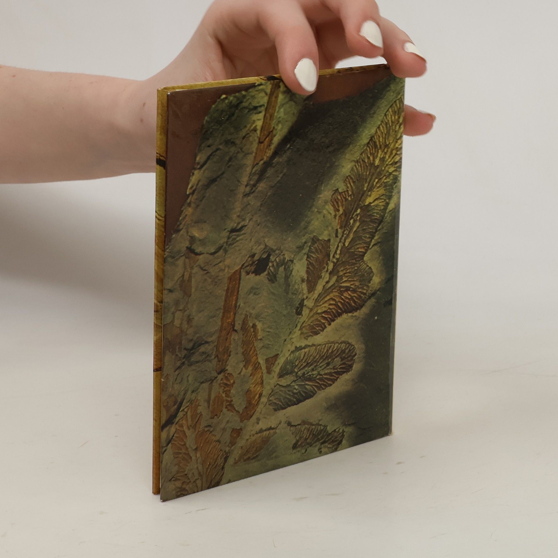 Rudolf Daber Mein kleines Fossilienbuch