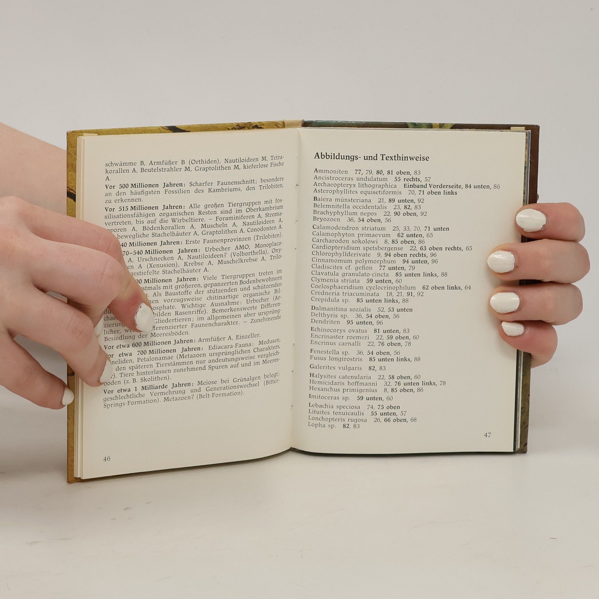 Rudolf Daber Mein kleines Fossilienbuch