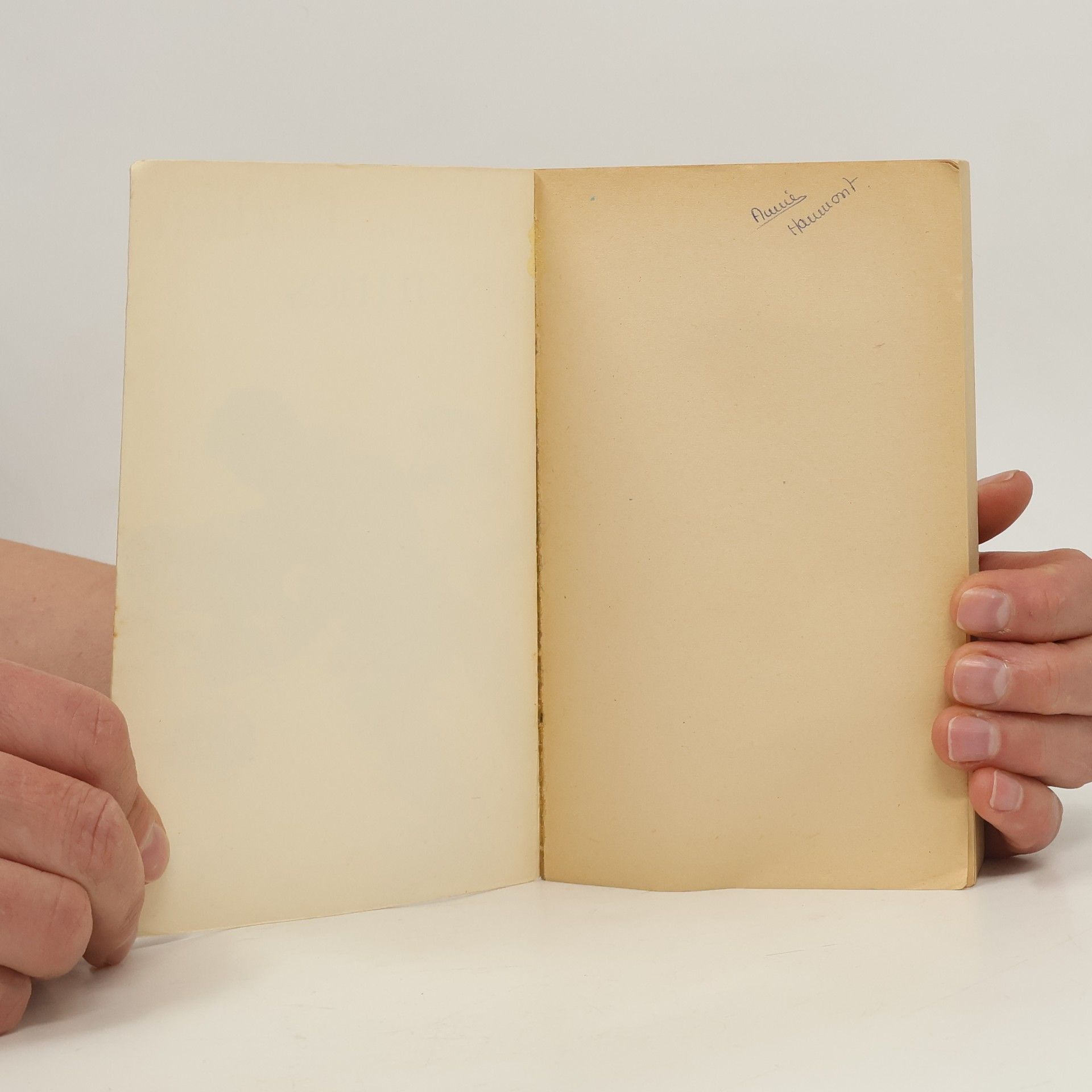 Ernest Hemingway L'adieu aux armes