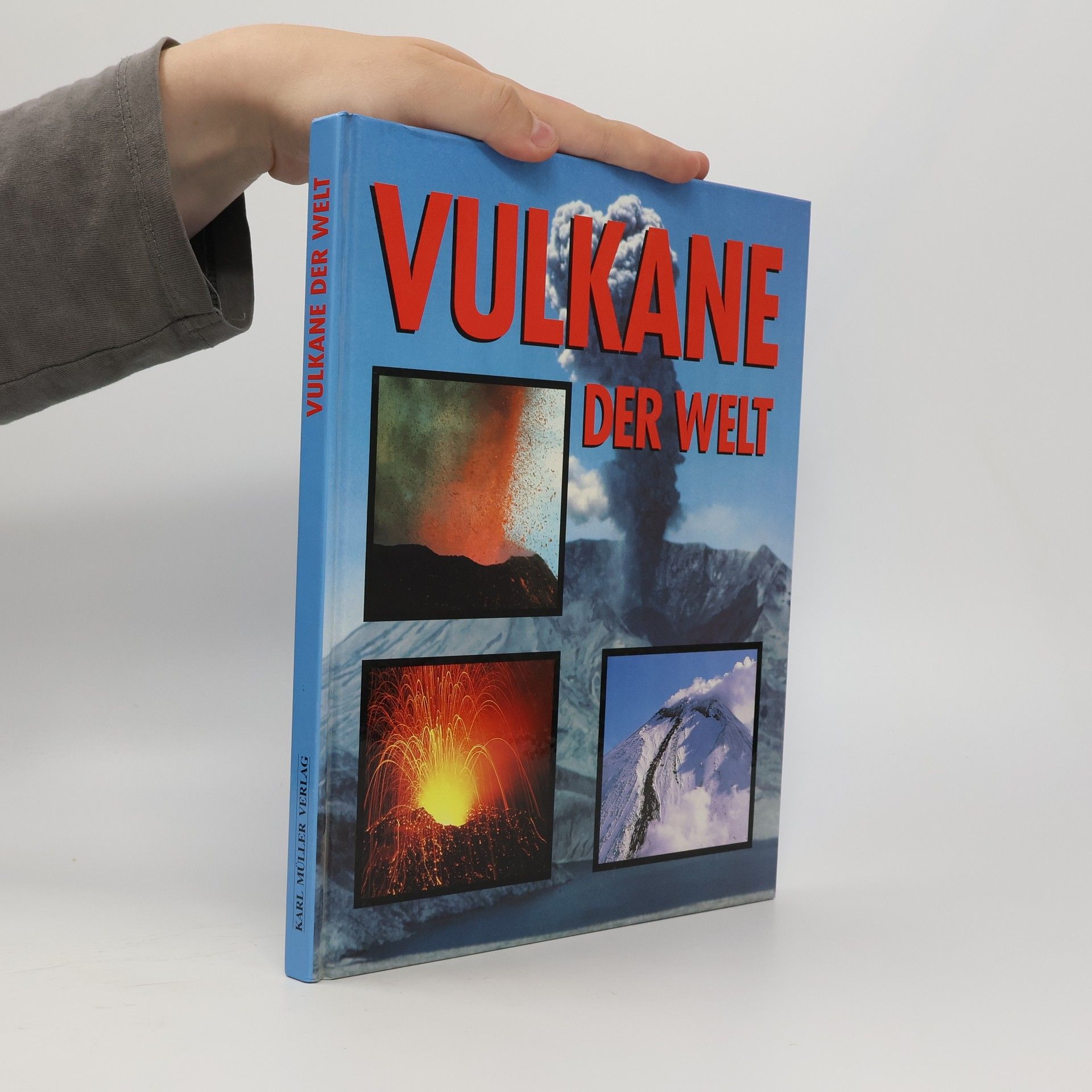 David M. Pyle Vulkane der Welt