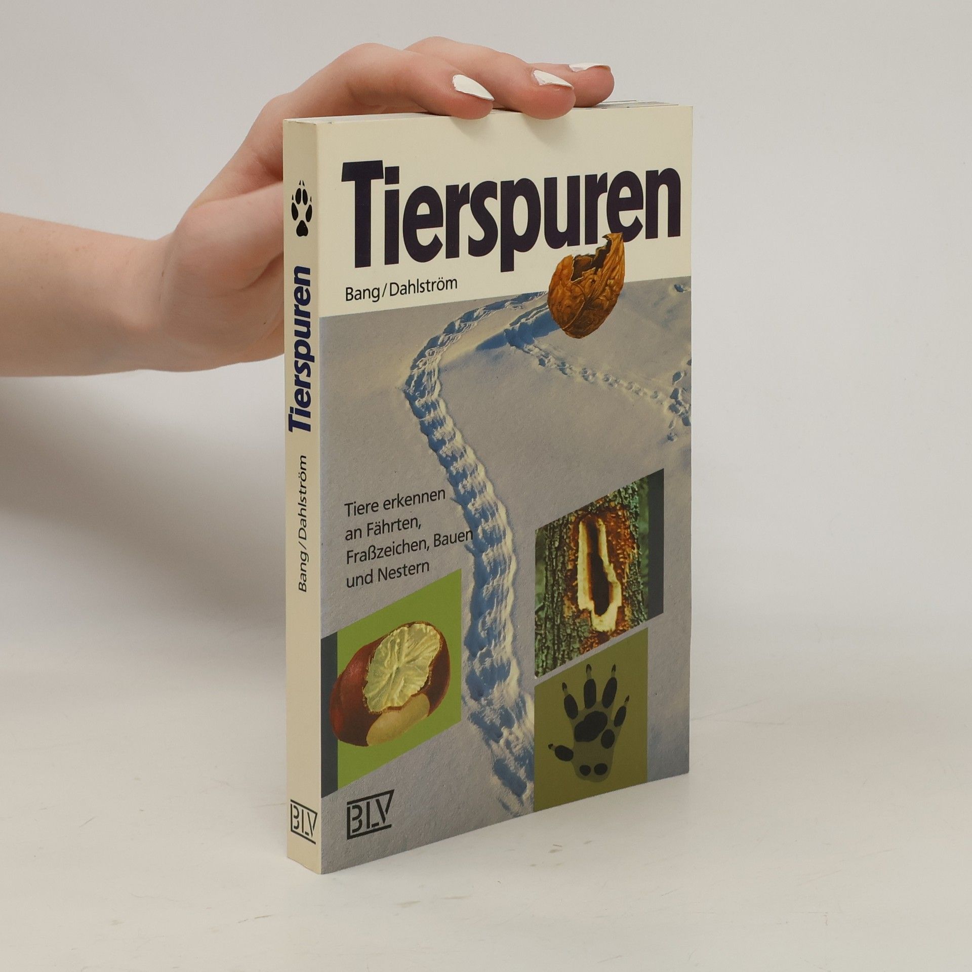 Tierspuren