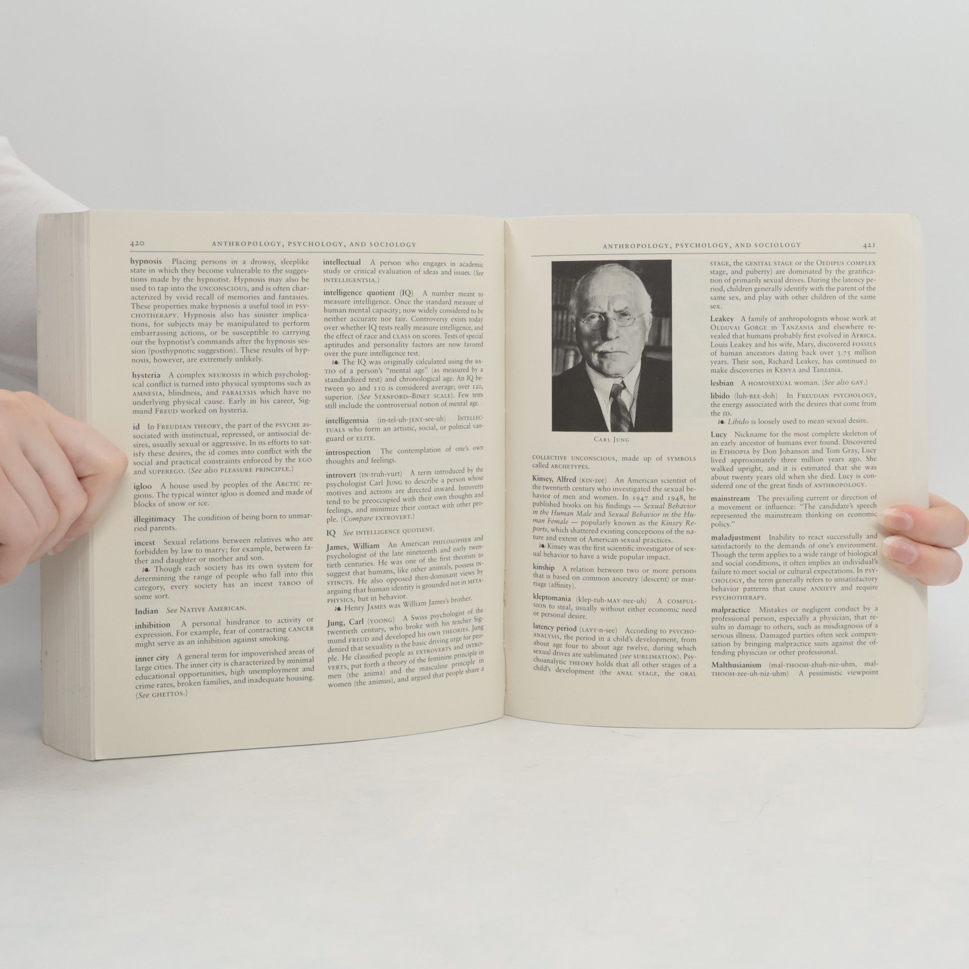 Various authors The Dictionary of Cultural Literacy