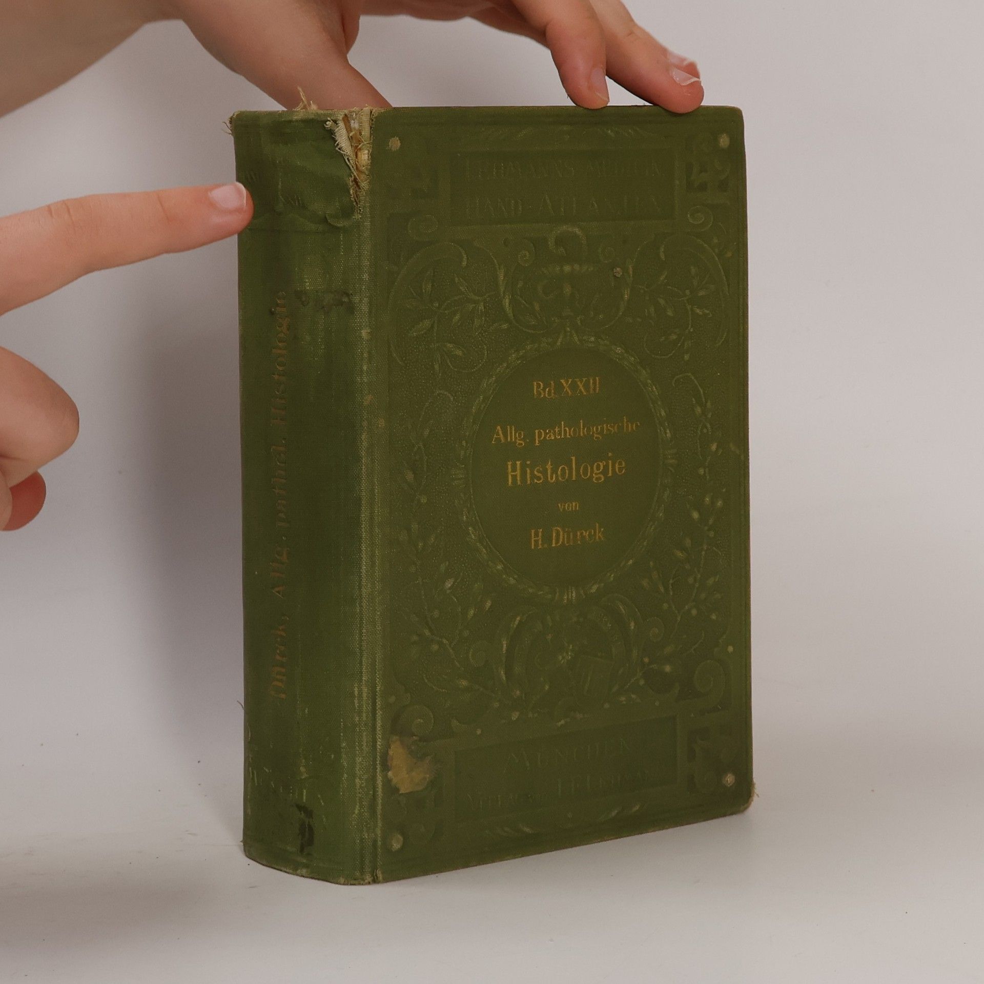 Hermann Dürck Atlas und Grundriss der allgemeinen pathologischen Histologie