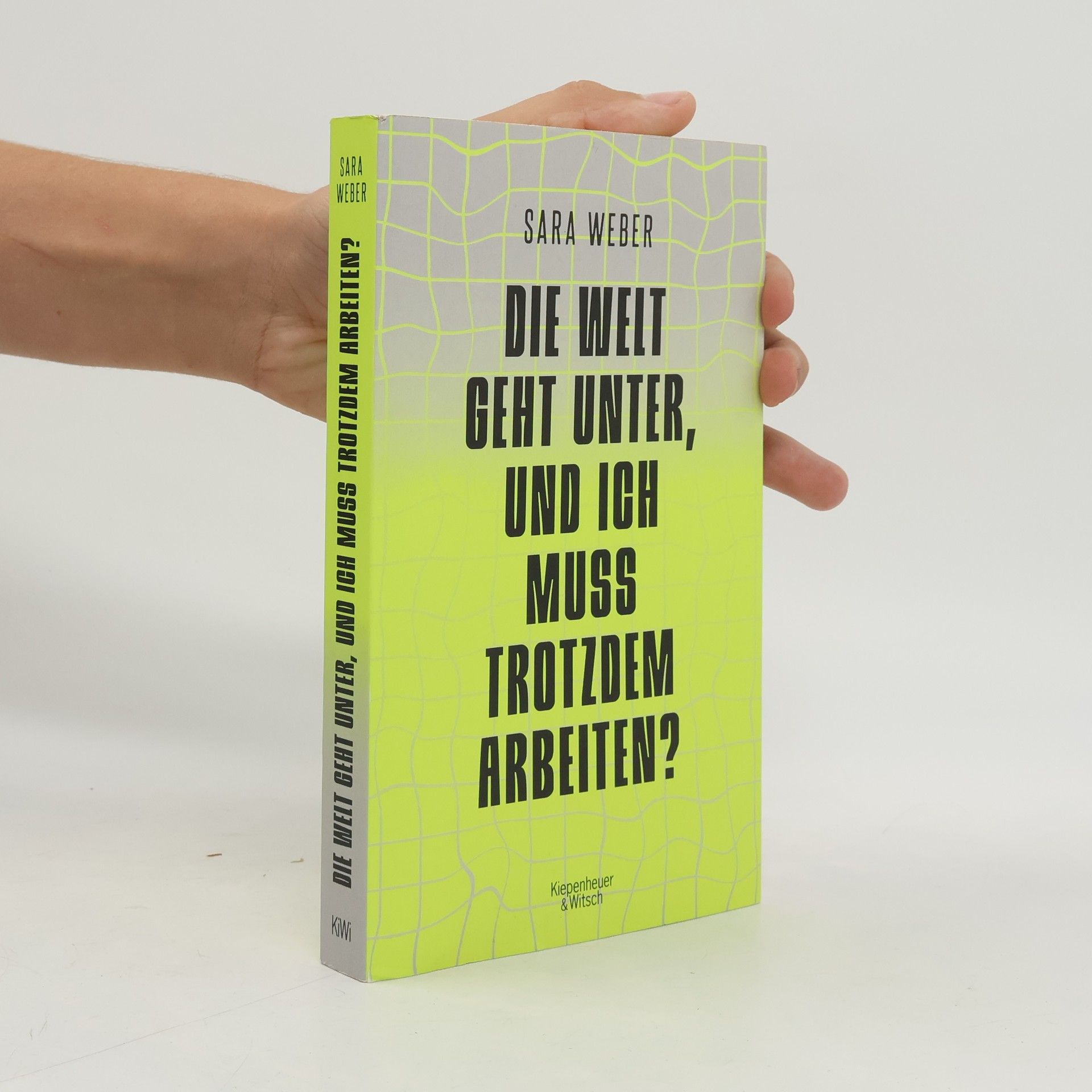 Sara Weber Die Welt geht unter, und ich muss trotzdem arbeiten?
