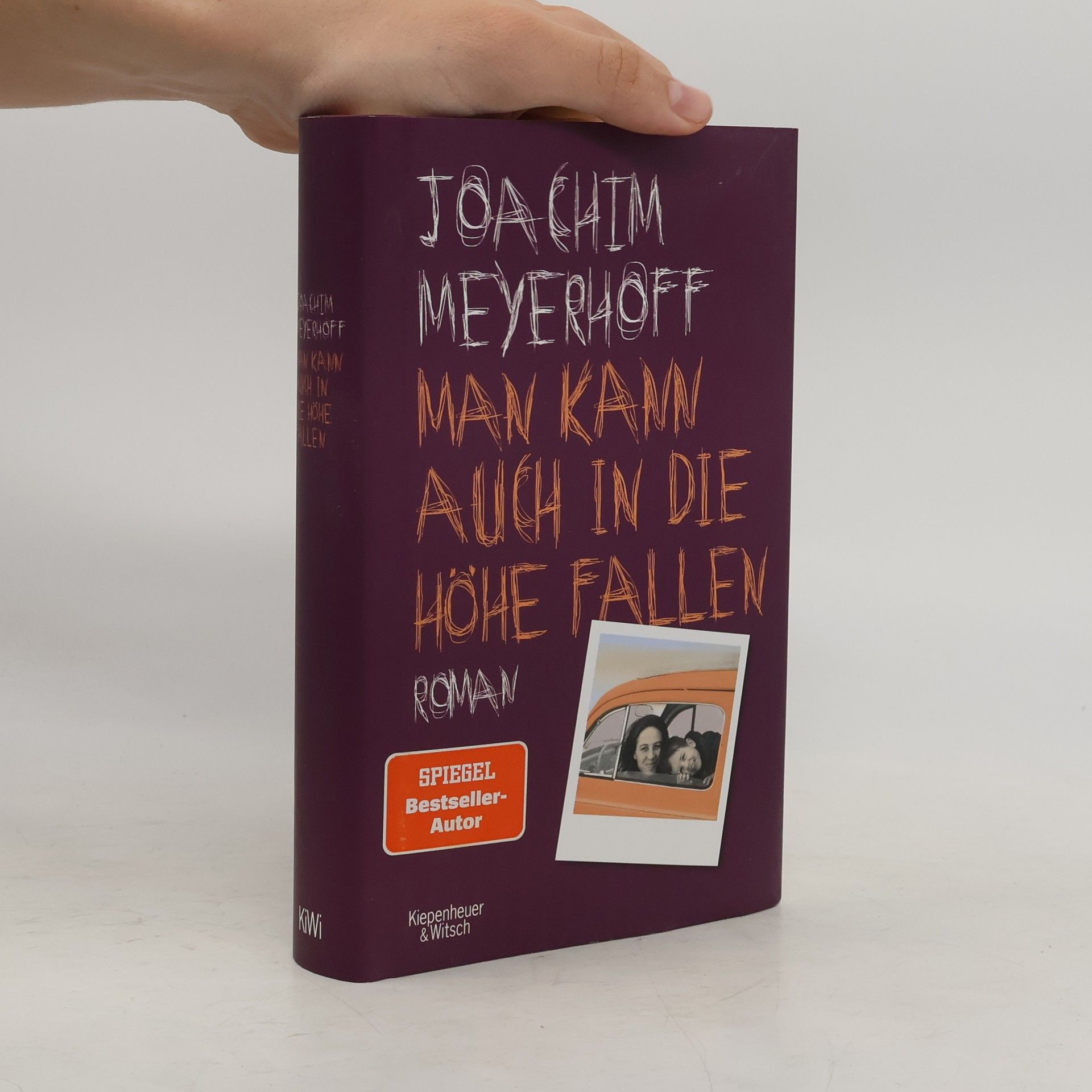 Joachim Meyerhoff Man kann auch in die Höhe fallen
