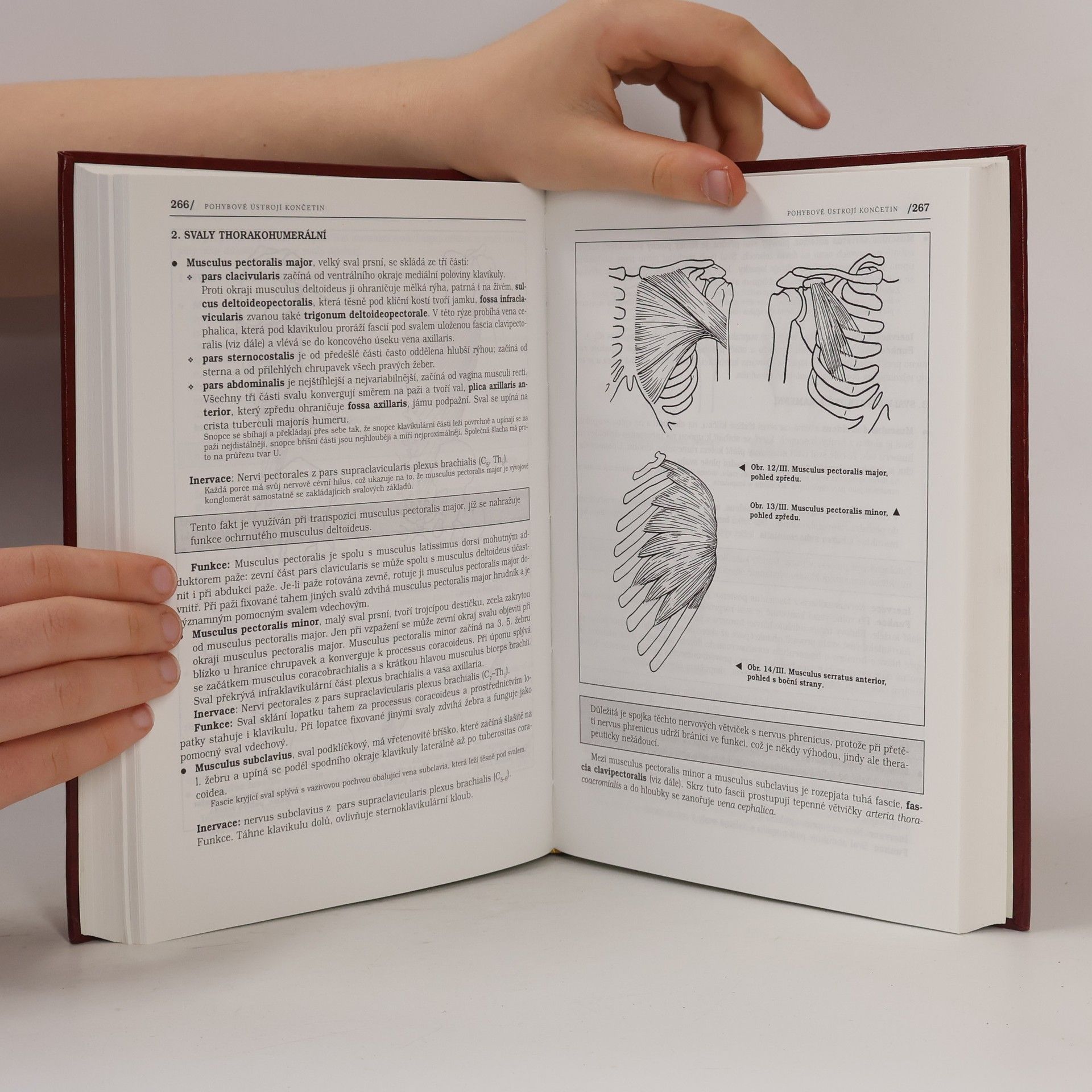 Pavel Petrovický Anatomie s topografií a klinickými aplikacemi I. Pohybové ústrojí