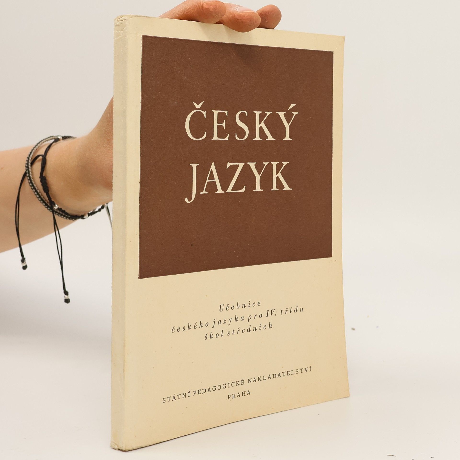 Kolektiv autorů Český jazyk
