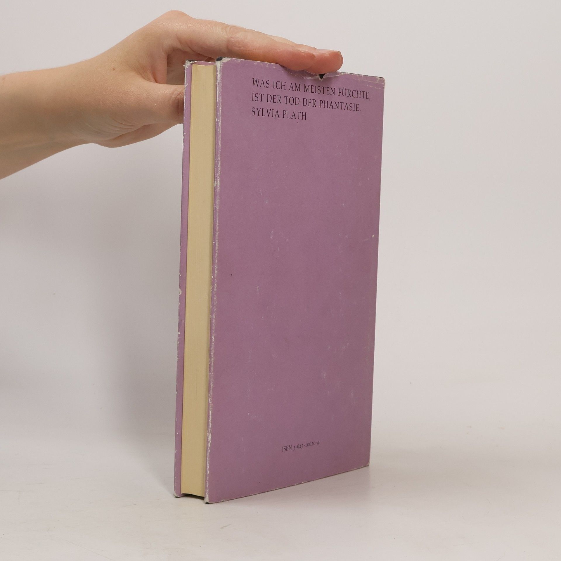 Sylvia Plath Die Bibel der Träume