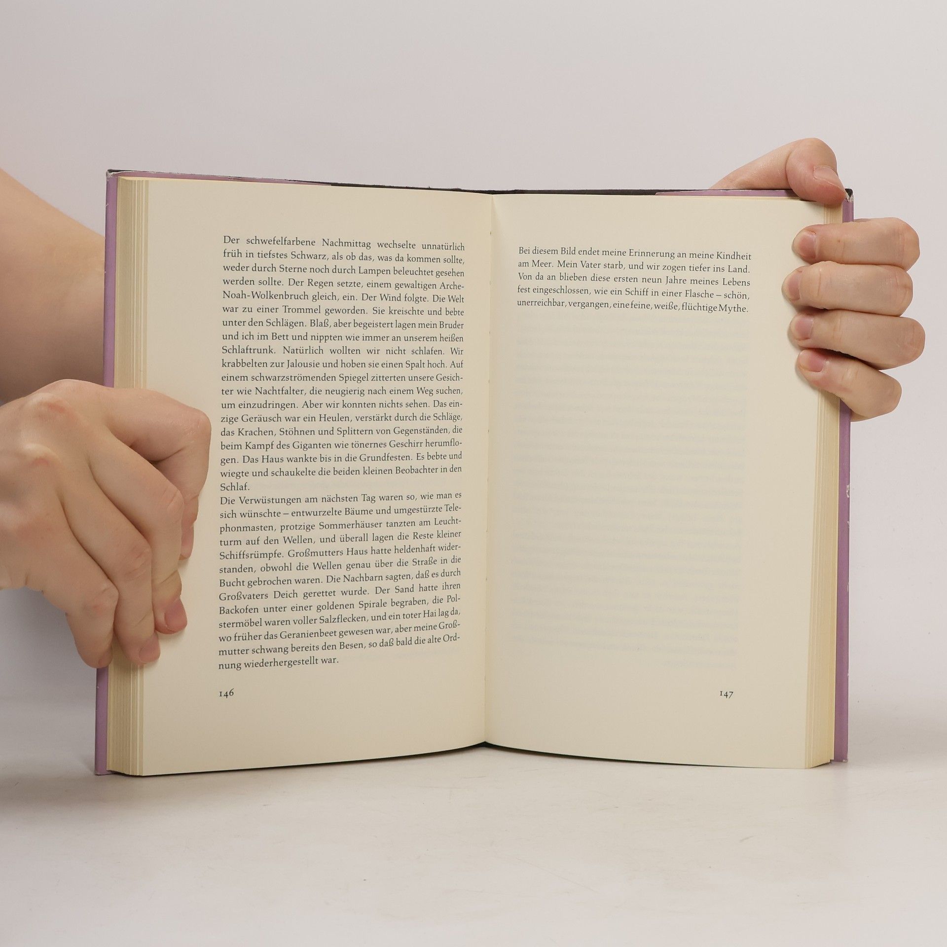 Sylvia Plath Die Bibel der Träume