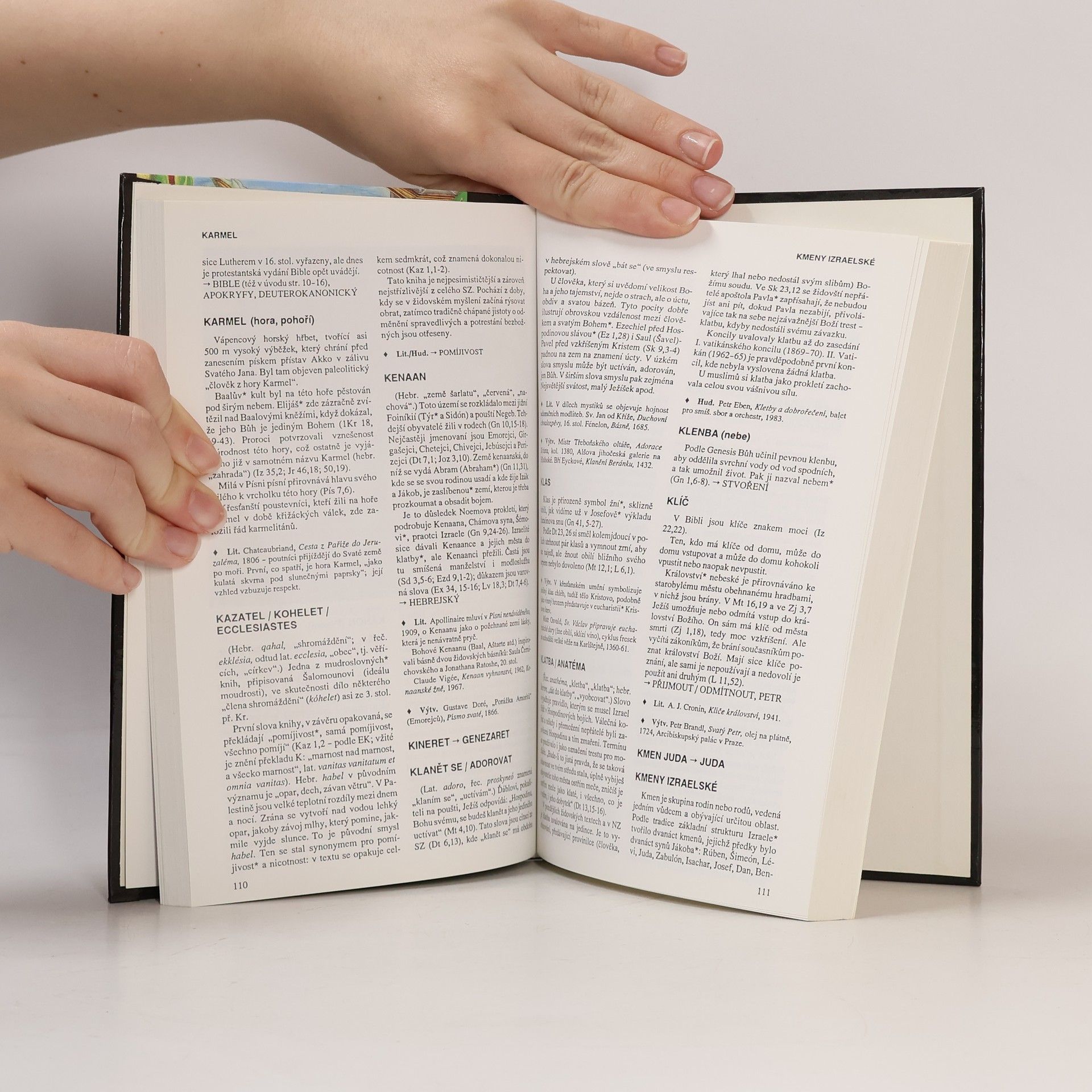 Autorenkollektiv Slovník biblické kultury