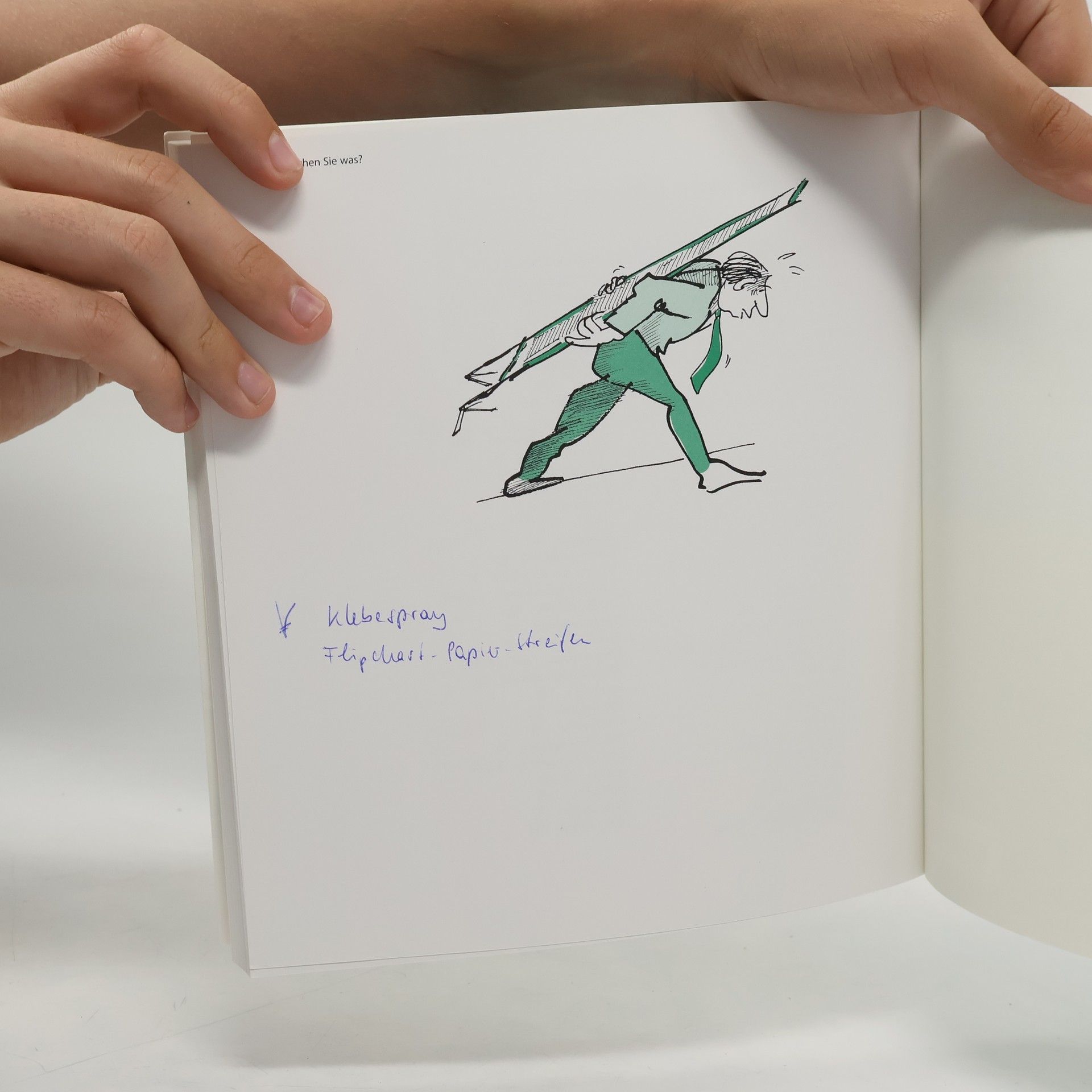Bernd Weidenmann 100 Tipps & Tricks für Pinnwand und Flipchart