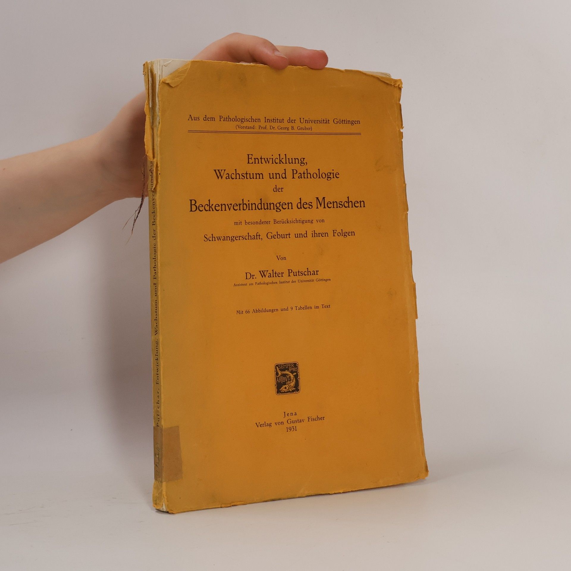 Walter Putschar Entwicklung, Wachstum und Pathologie