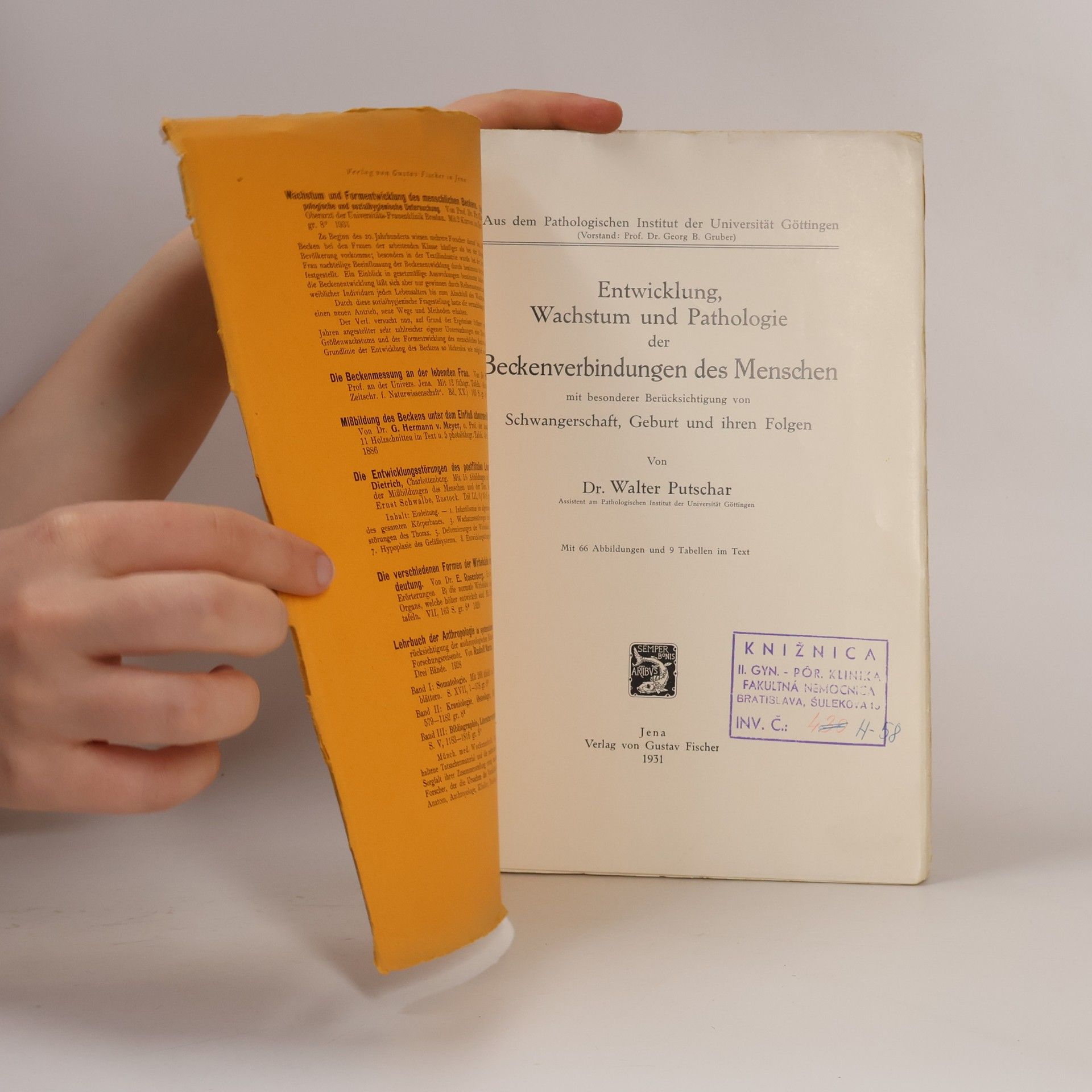 Walter Putschar Entwicklung, Wachstum und Pathologie