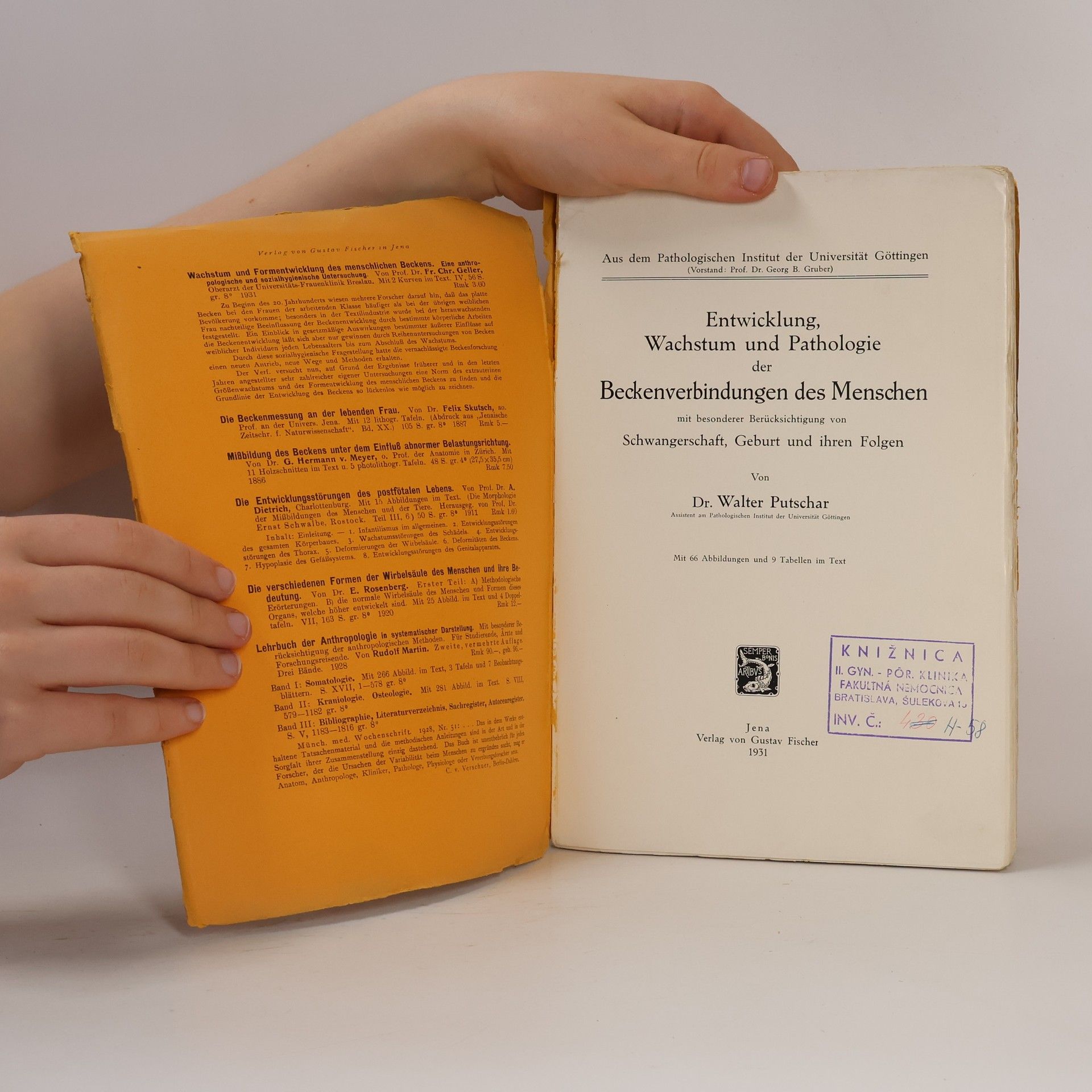 Walter Putschar Entwicklung, Wachstum und Pathologie