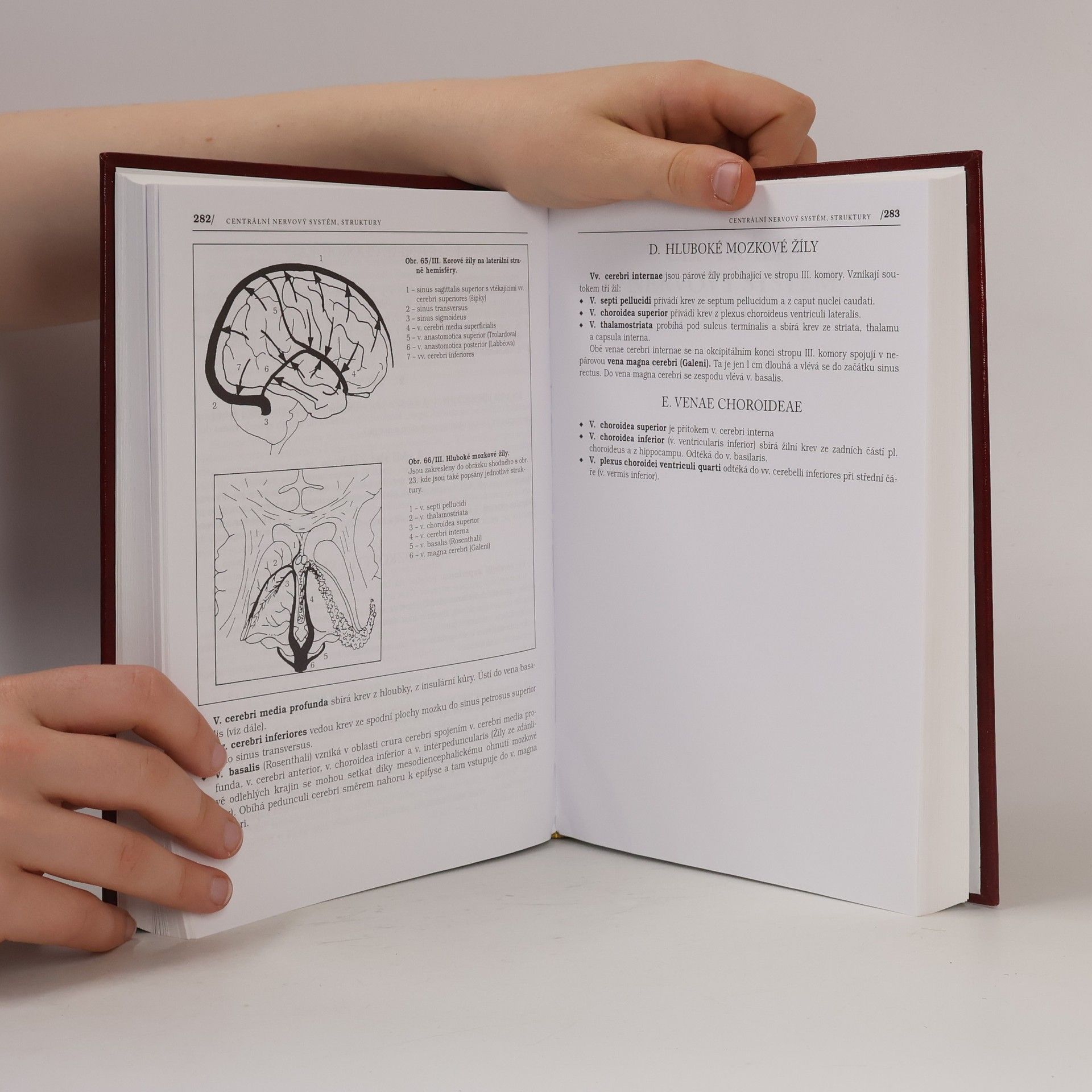 Pavel Petrovický Anatomie s topografií a klinickými aplikacemi. III. svazek, Neuroanatomie, smyslová ústrojí a kůže