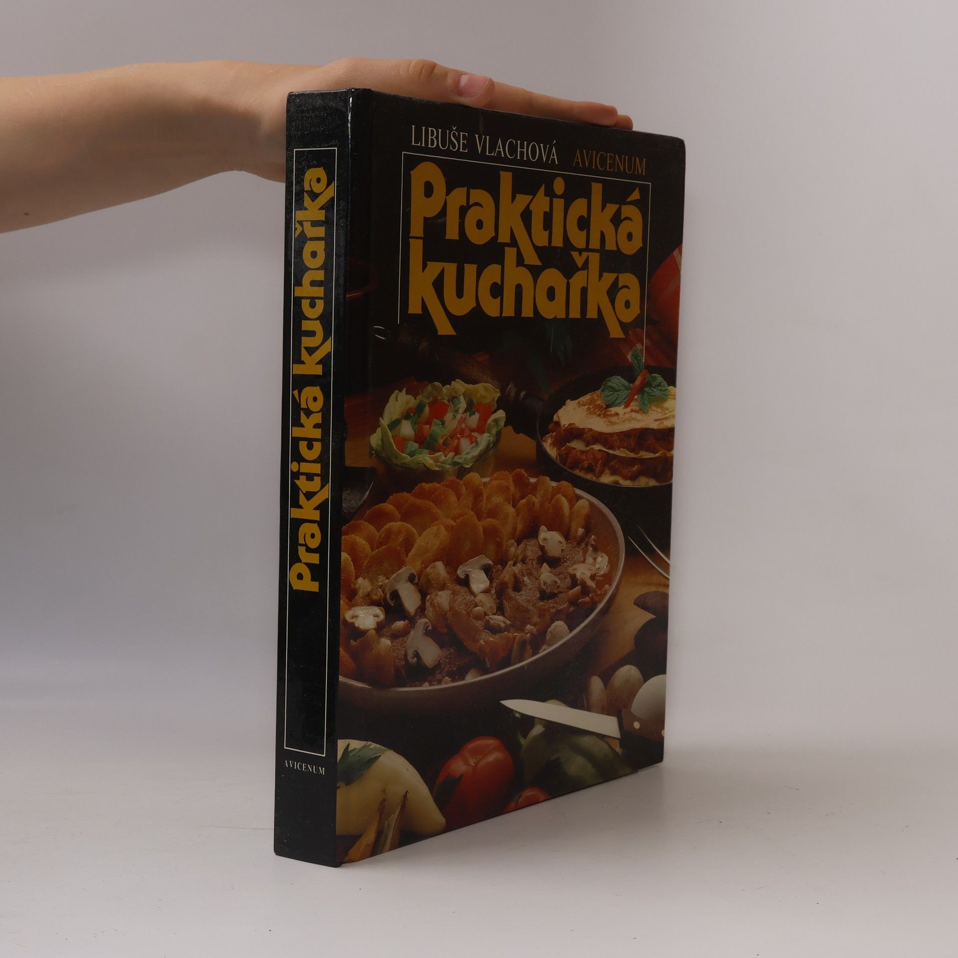 Libuše Vlachová Praktická kuchařka