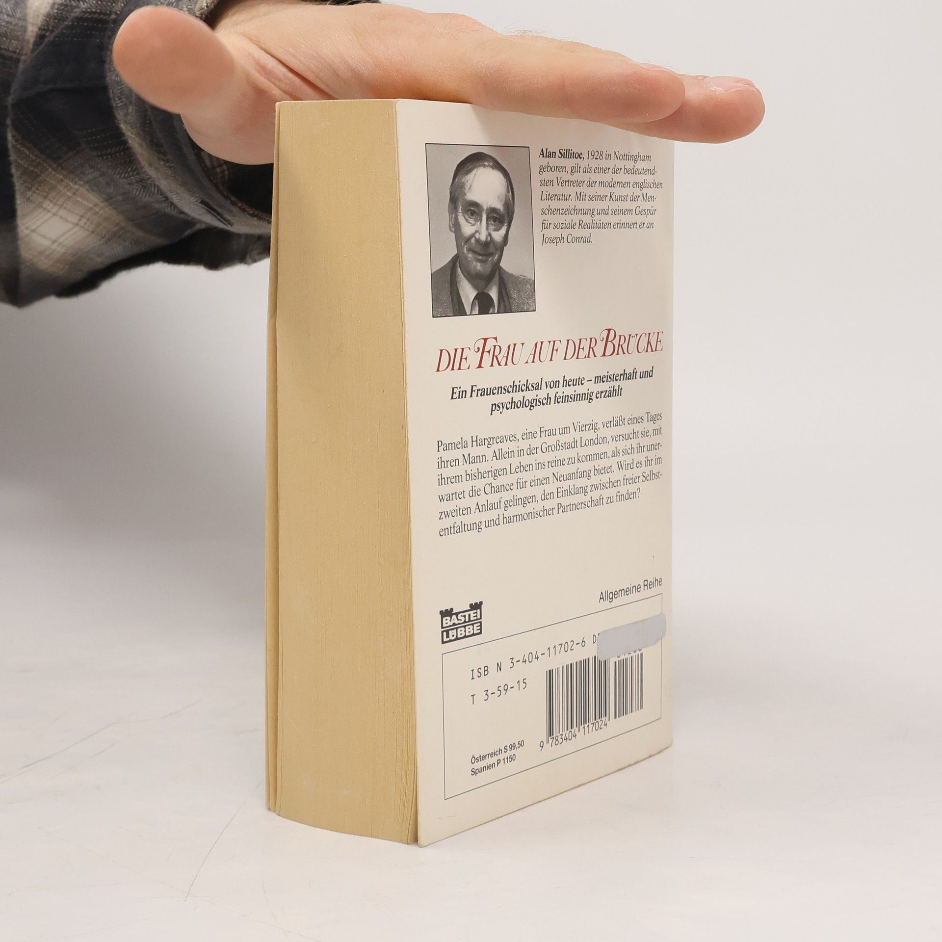 Alan Sillitoe Allgemeine Reihe: Die Frau auf der Brücke