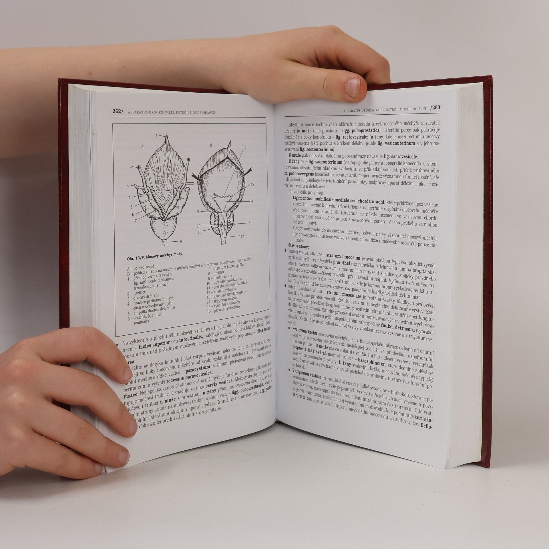 Pavel Petrovický Anatomie s topografií a klinickými aplikacemi. II. svazek. Orgány a cévy