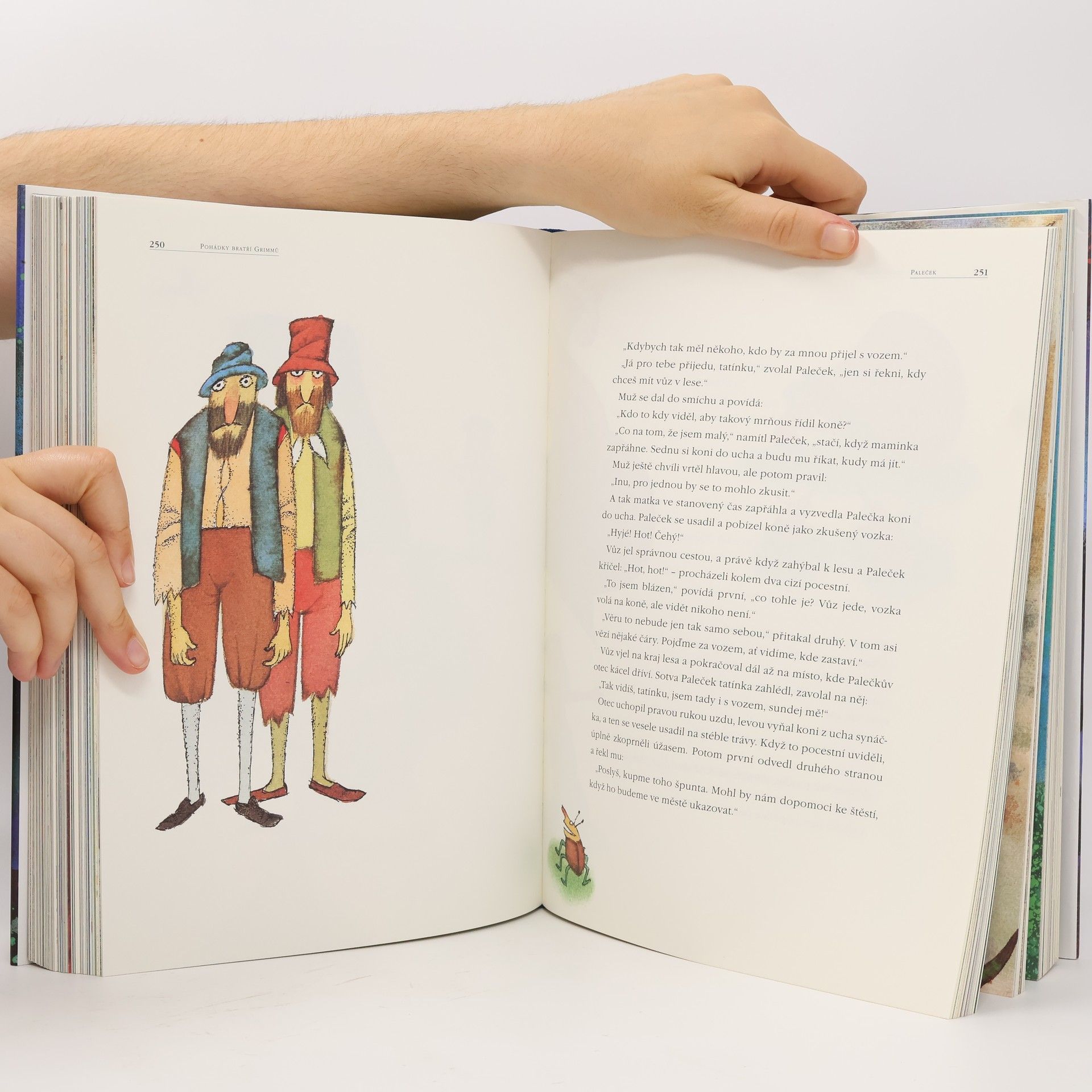 Jacob Grimm Pohádky bratří Grimmů