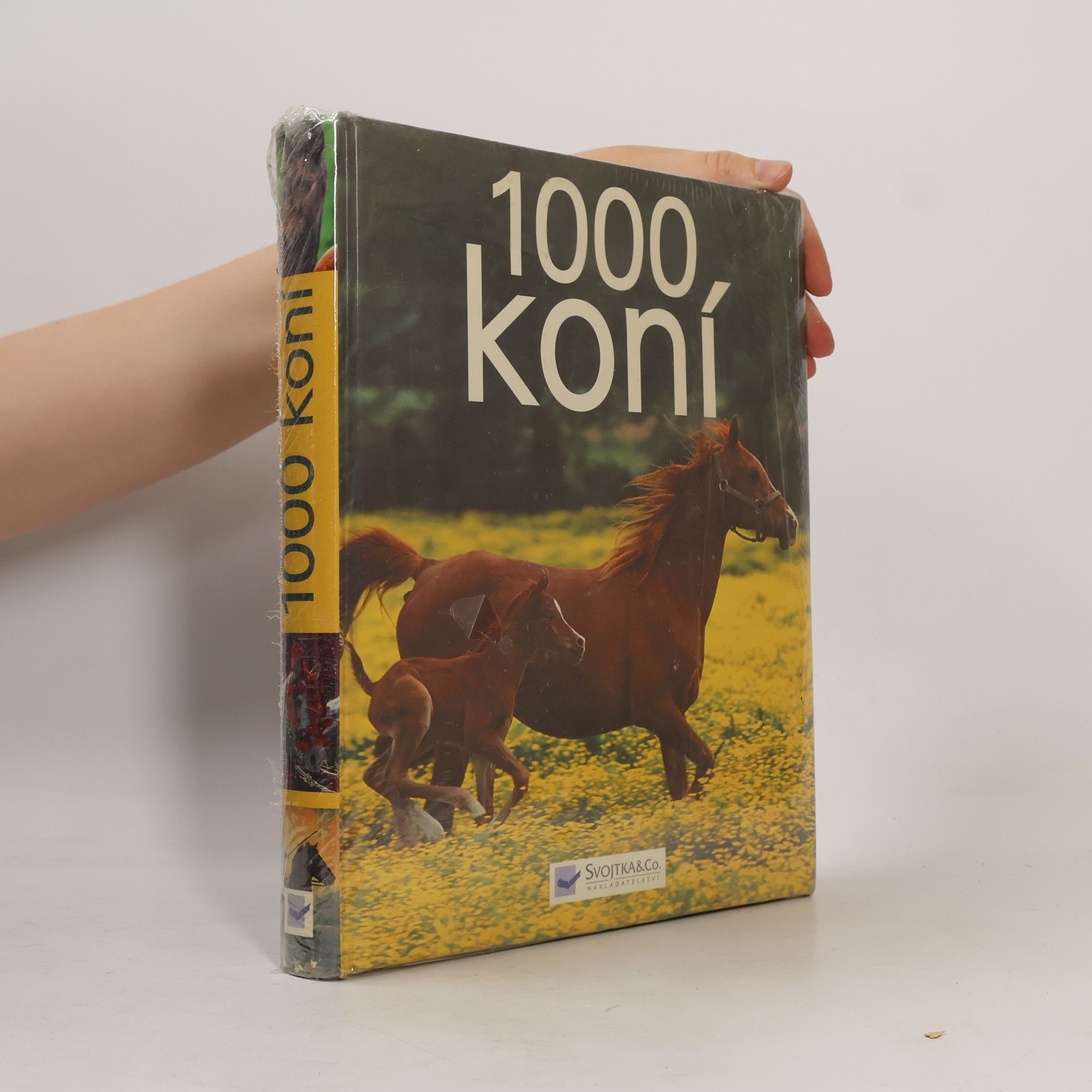 Ulrike Schöber 1000 koní