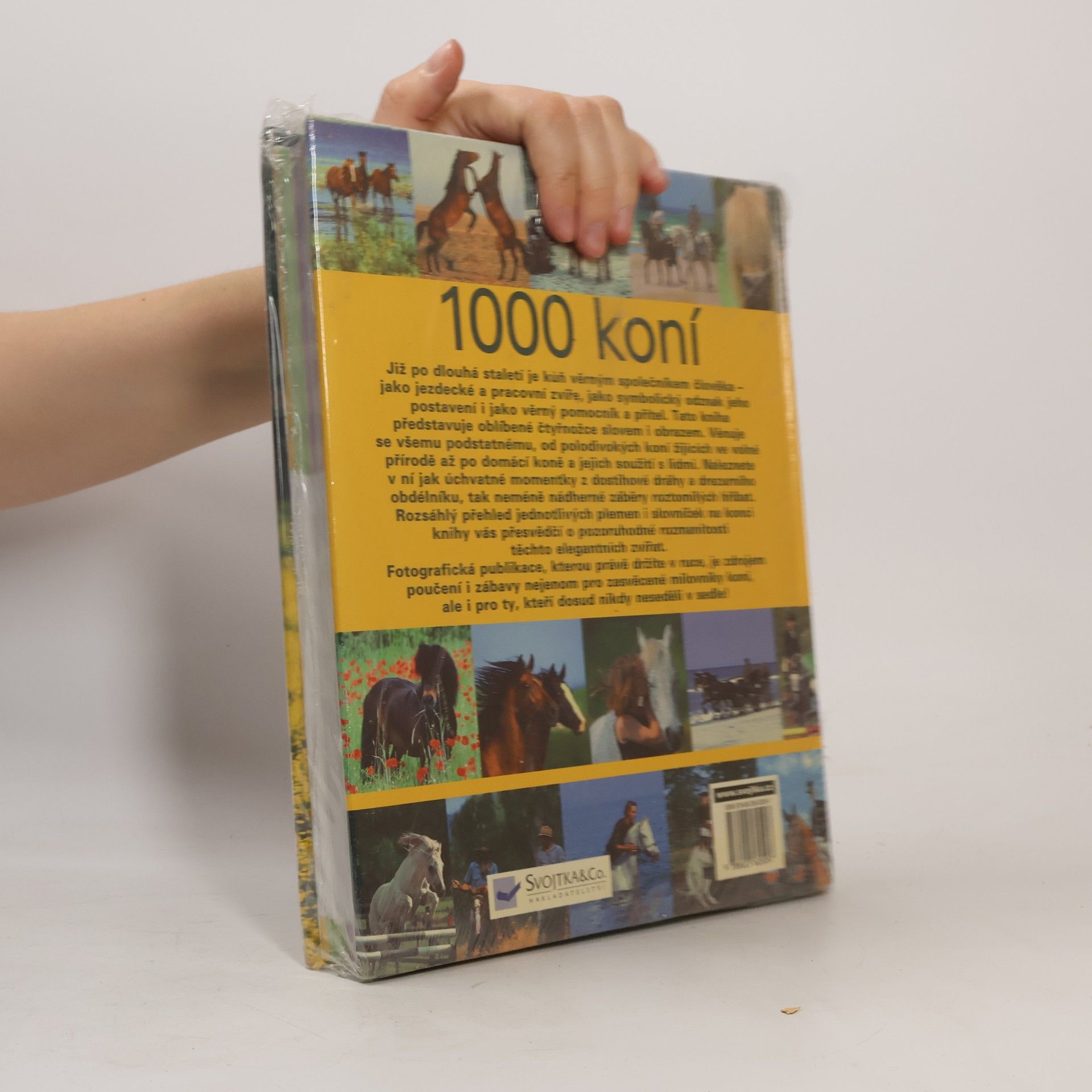 Ulrike Schöber 1000 koní
