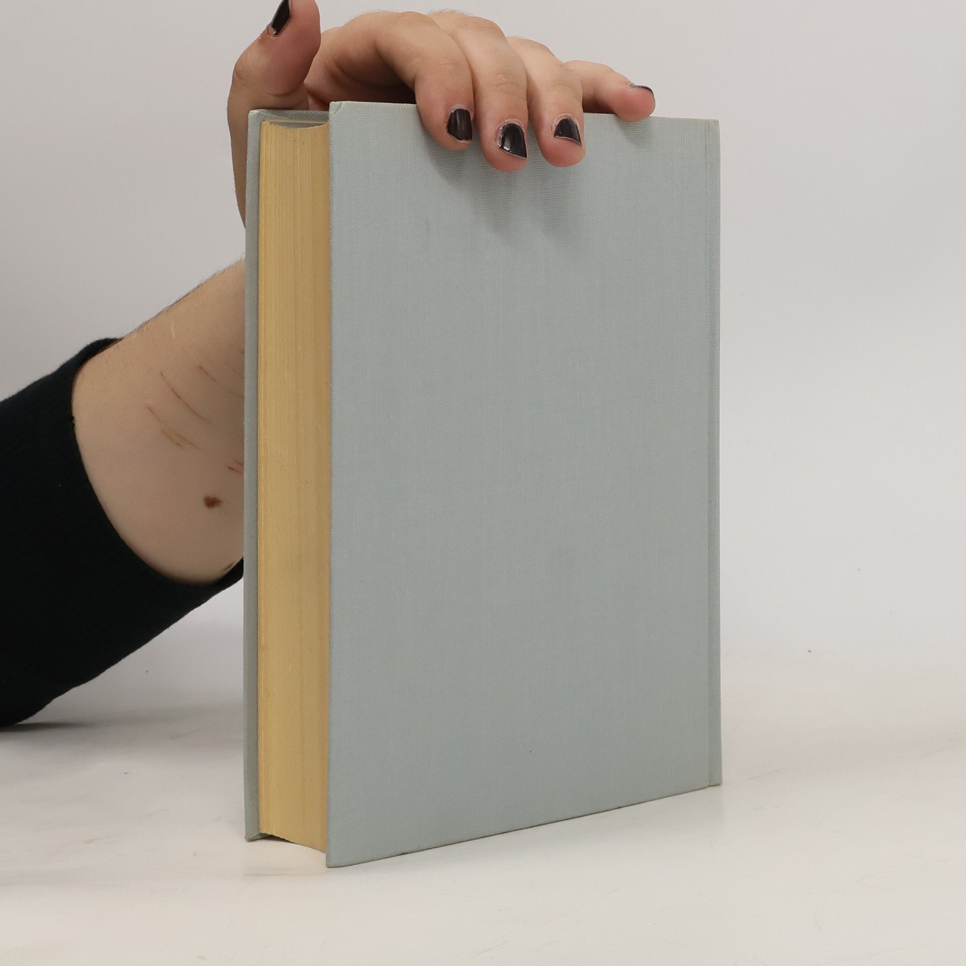 Kolektiv autorů Der Grosse Duden 2. Stilwörterbuch