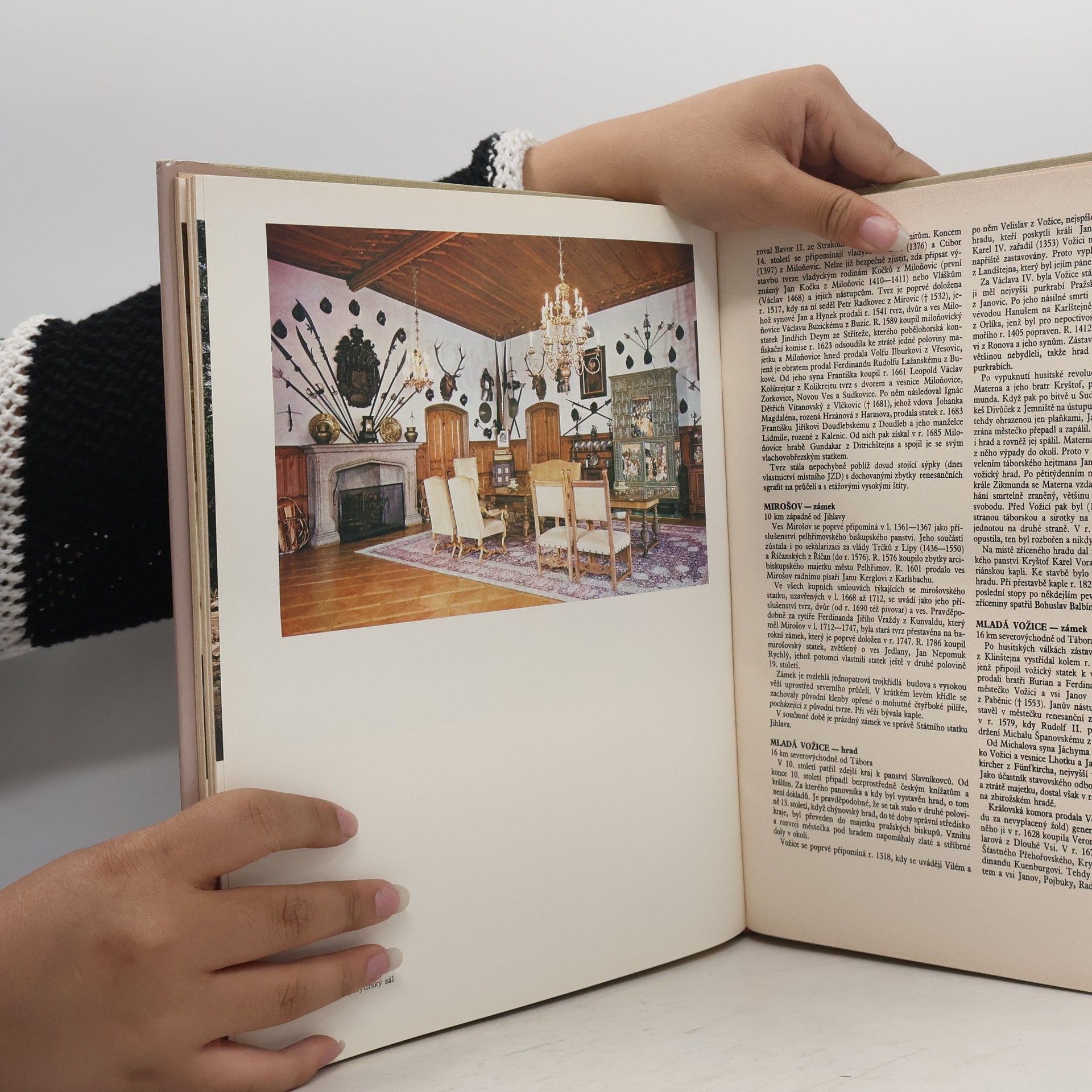 Various authors Hrady, zámky a tvrze v Čechách, na Moravě a ve Slezsku V. Jižní Čechy