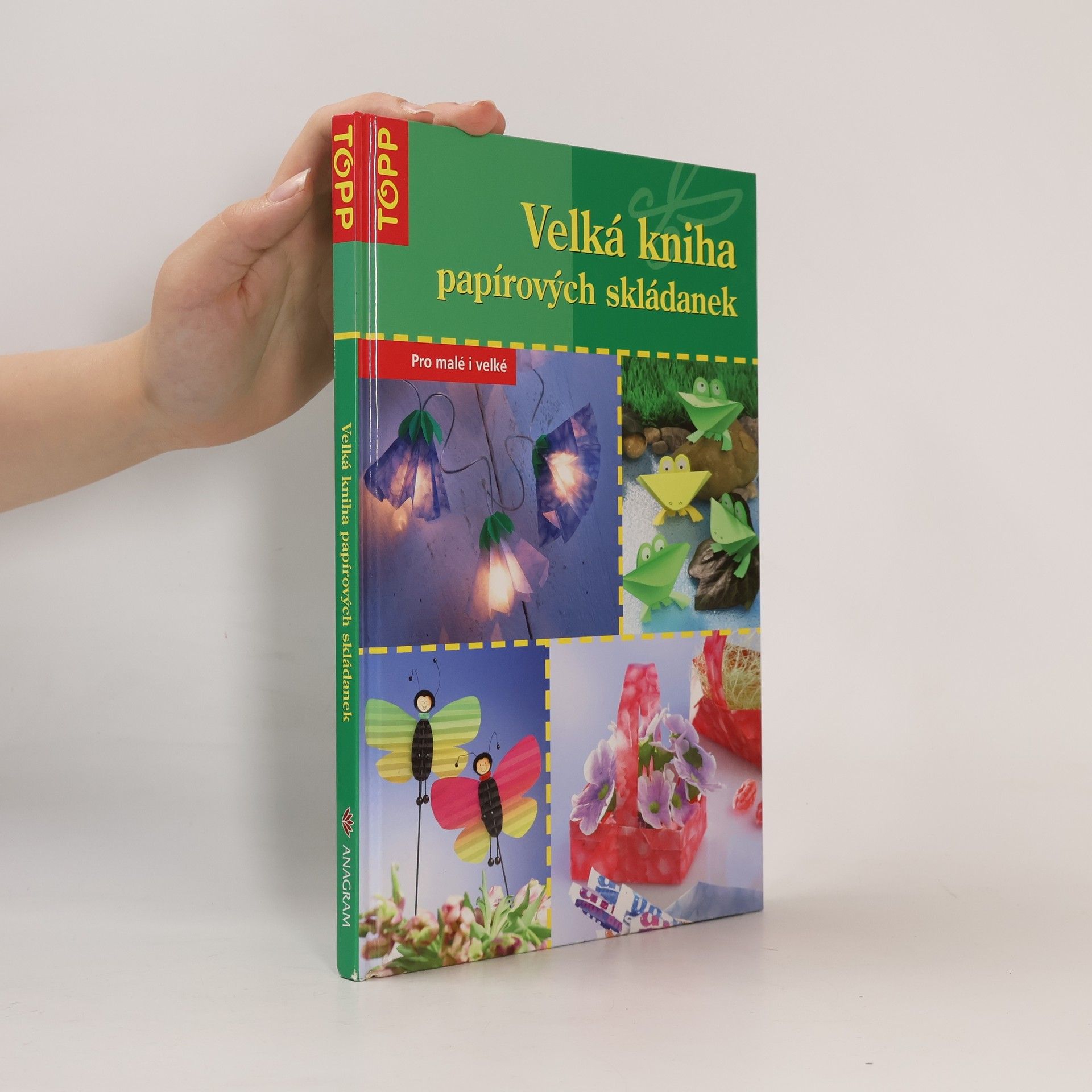 Armin Täubner Velká kniha papírových skládanek. Pro malé i velké