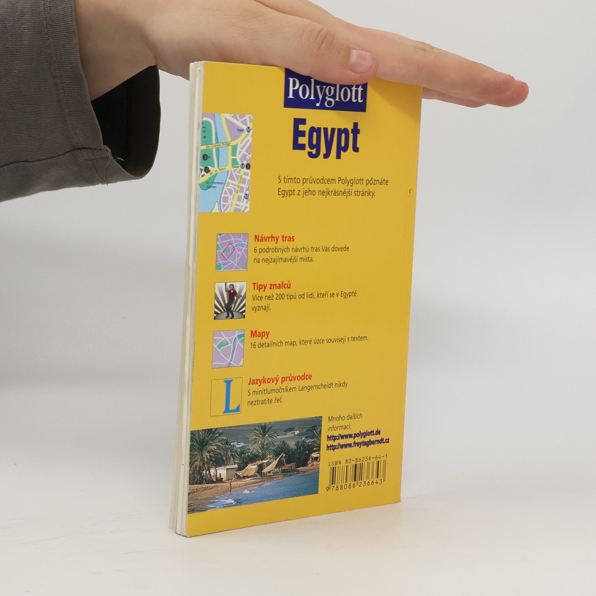 Michel Rauch Egypt