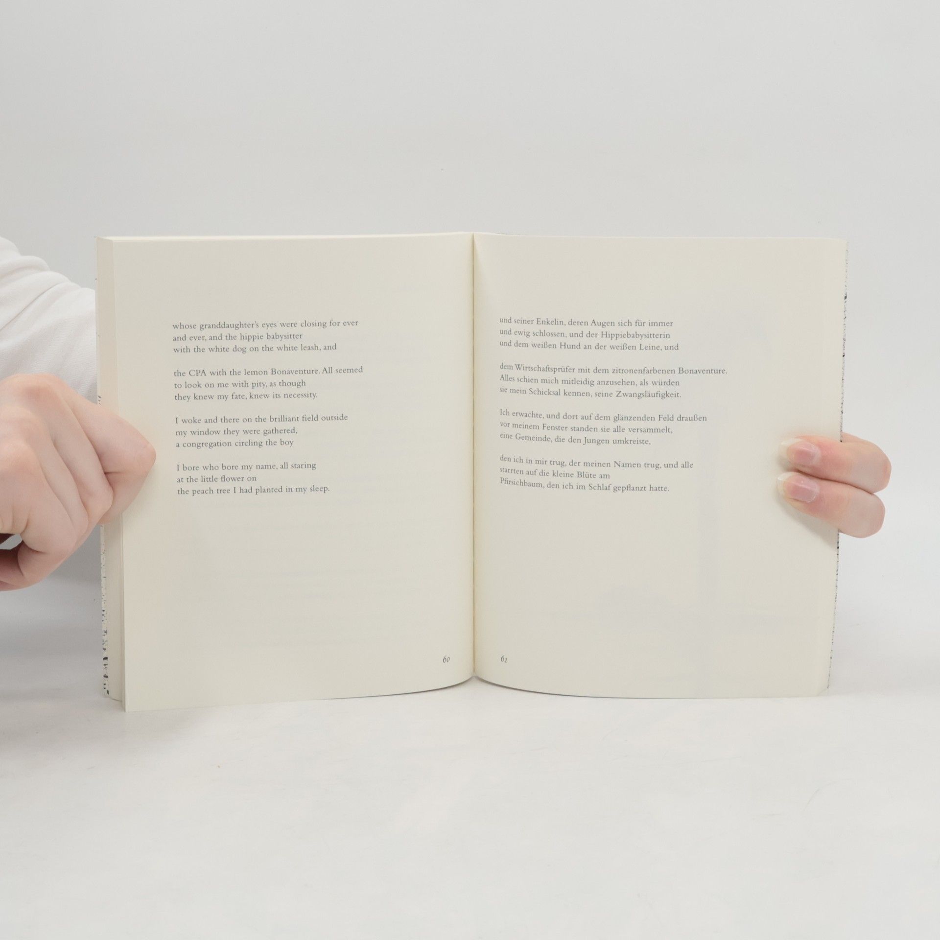 Dan Chiasson luxbooks.americana: Naturgeschichte