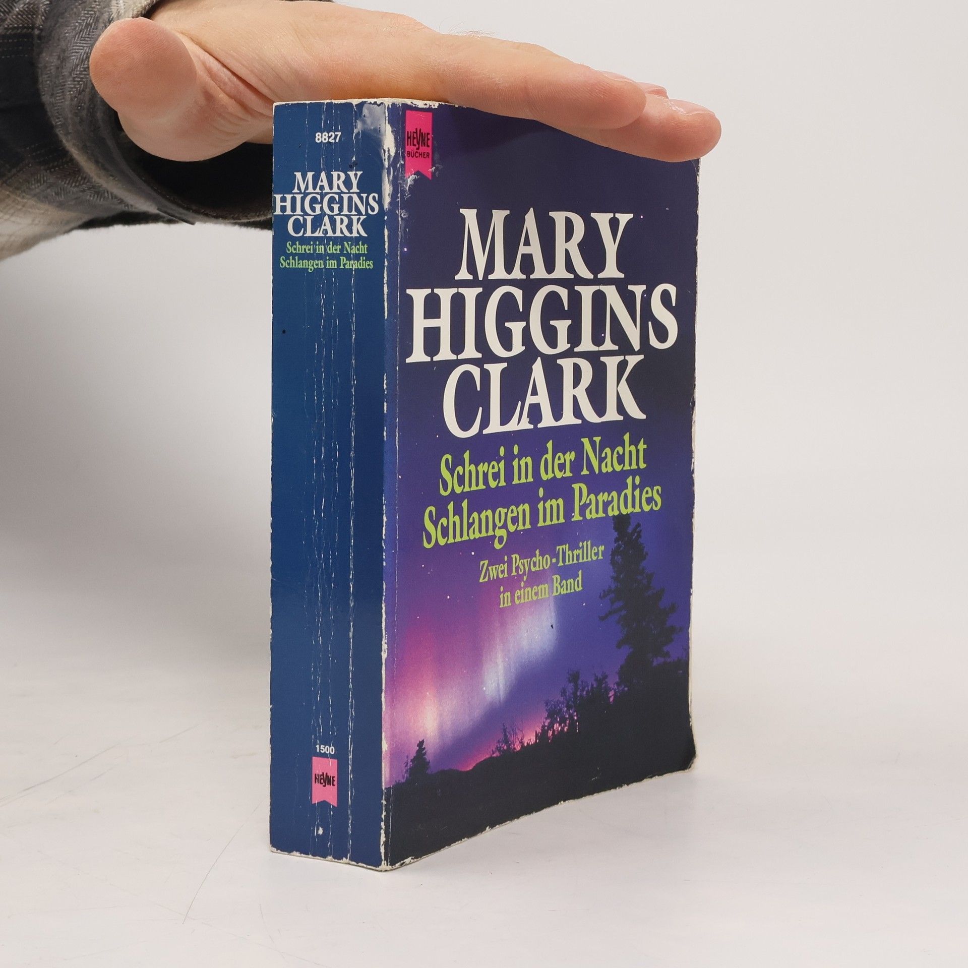 Mary Higgins Clark Schrei in der Nacht