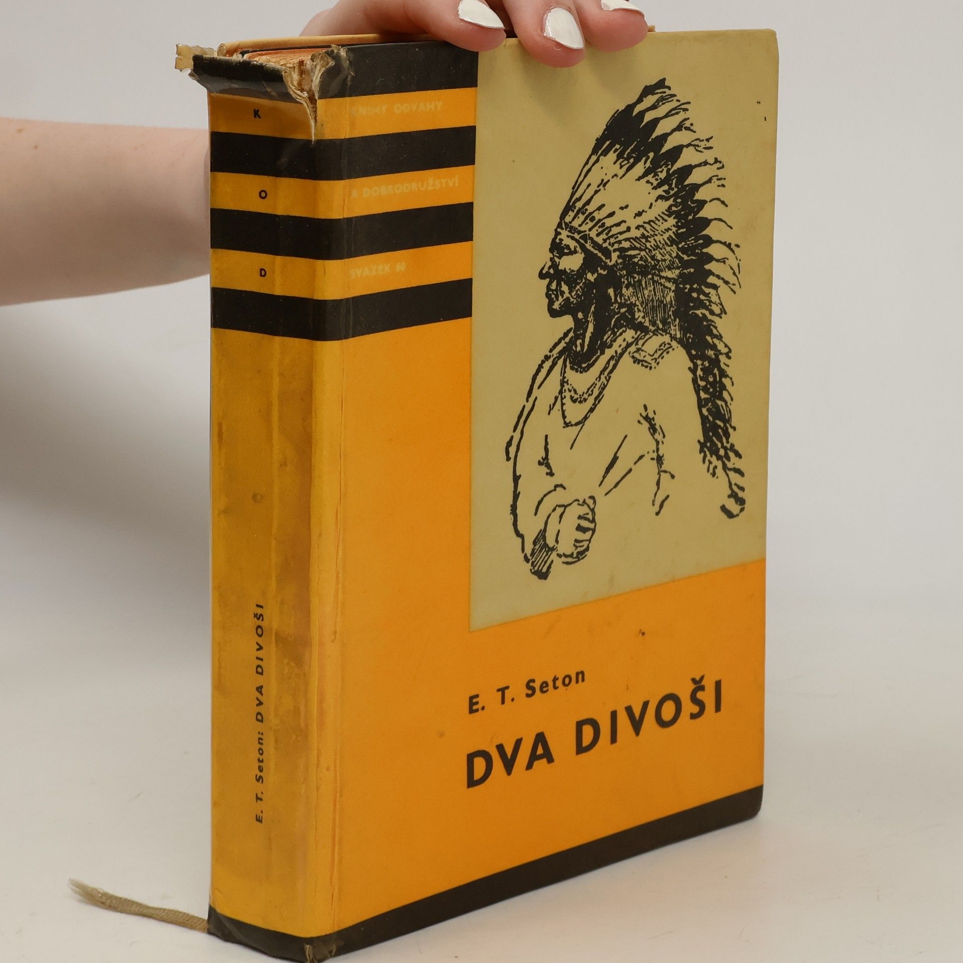 Ernest Thompson Seton Dva divoši