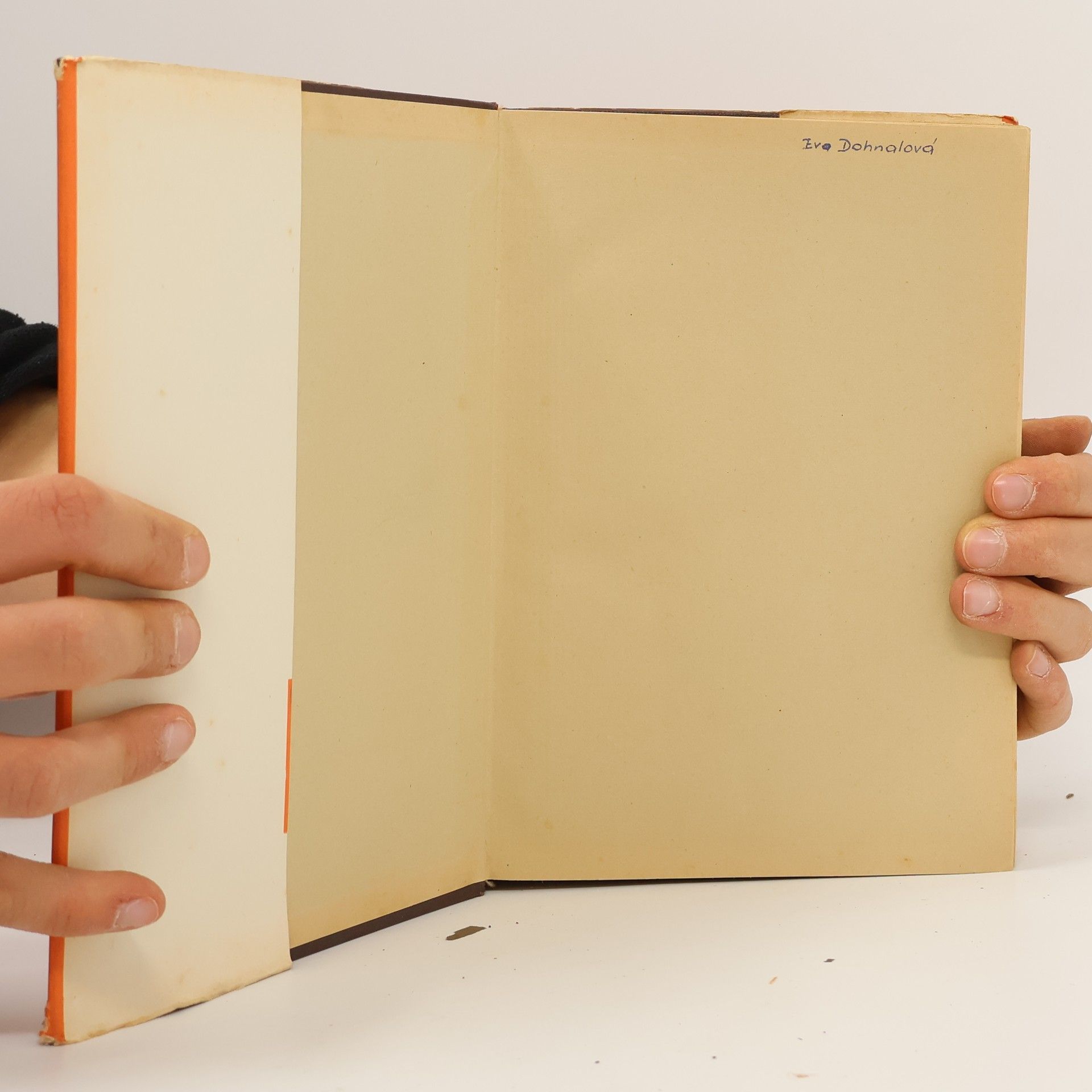 Autorenkollektiv Příruční rusko-český slovník