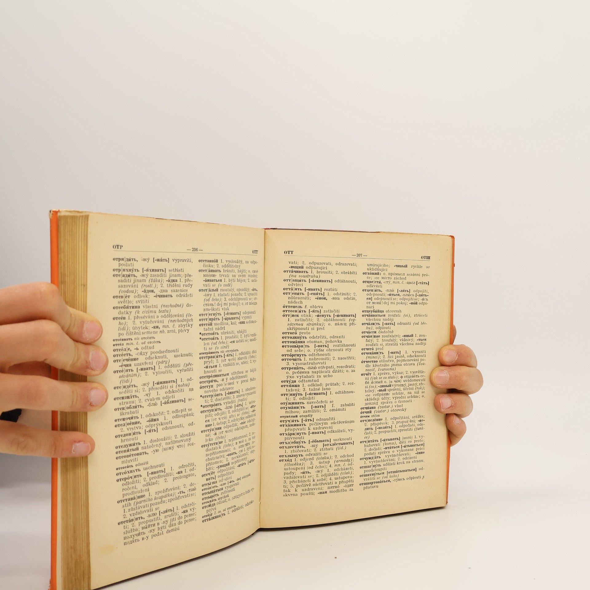 Autorenkollektiv Příruční rusko-český slovník