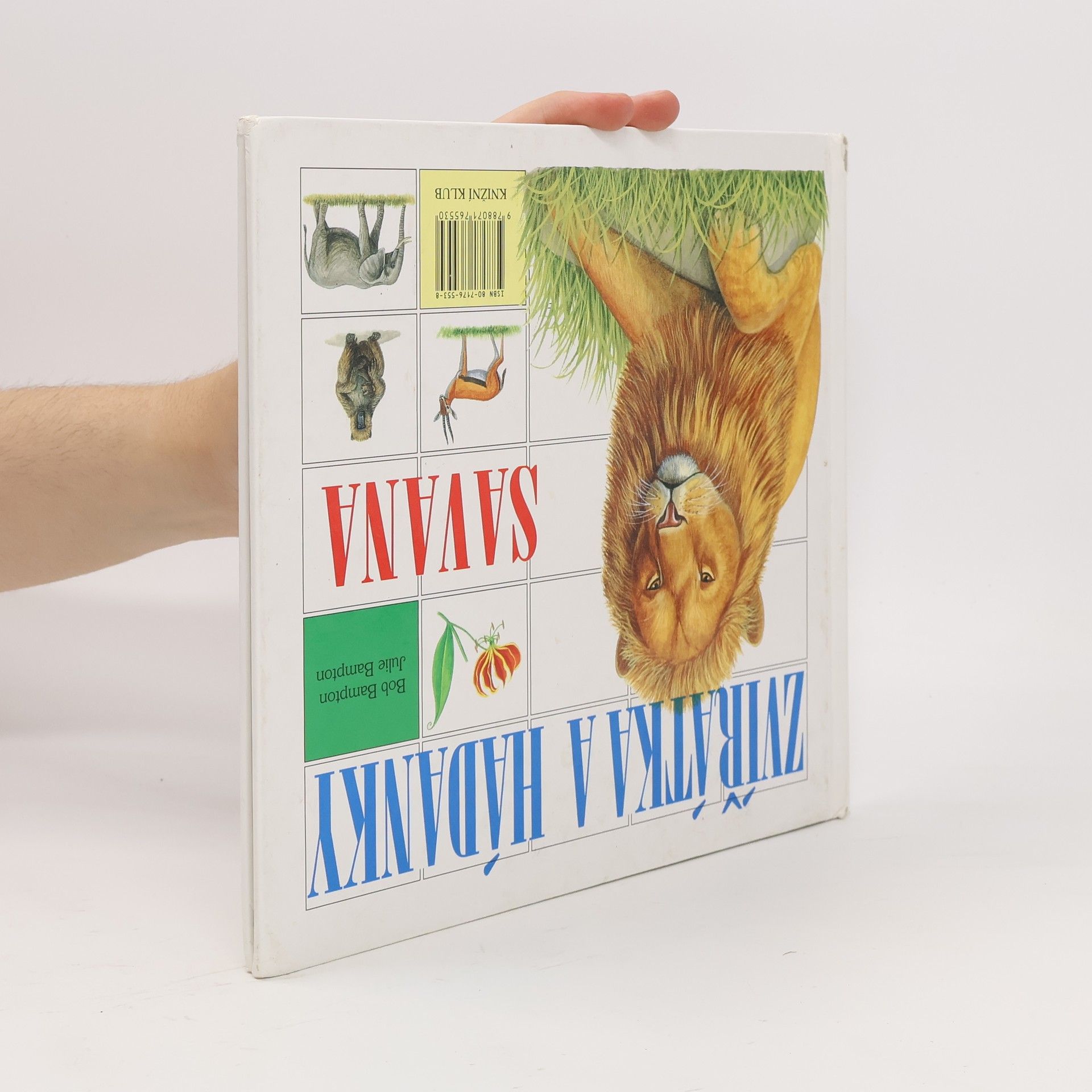 Bob Bampton Zvířátka a hádanky - Prales / Savana