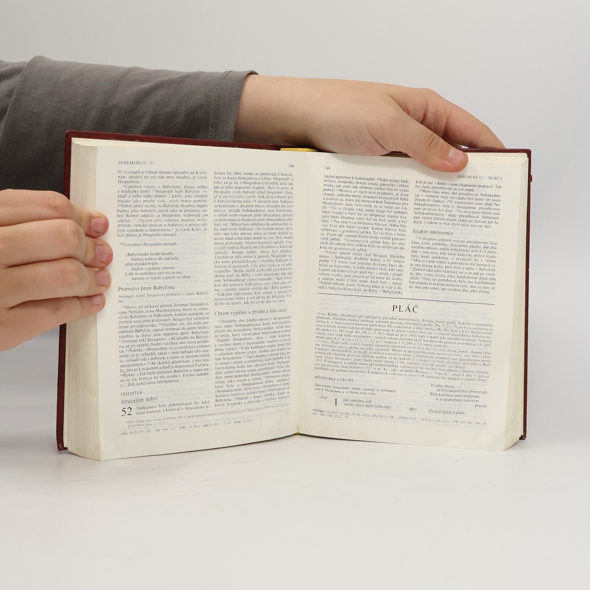 Kolektiv autorů Bible. Písmo svaté Starého i Nového zákona