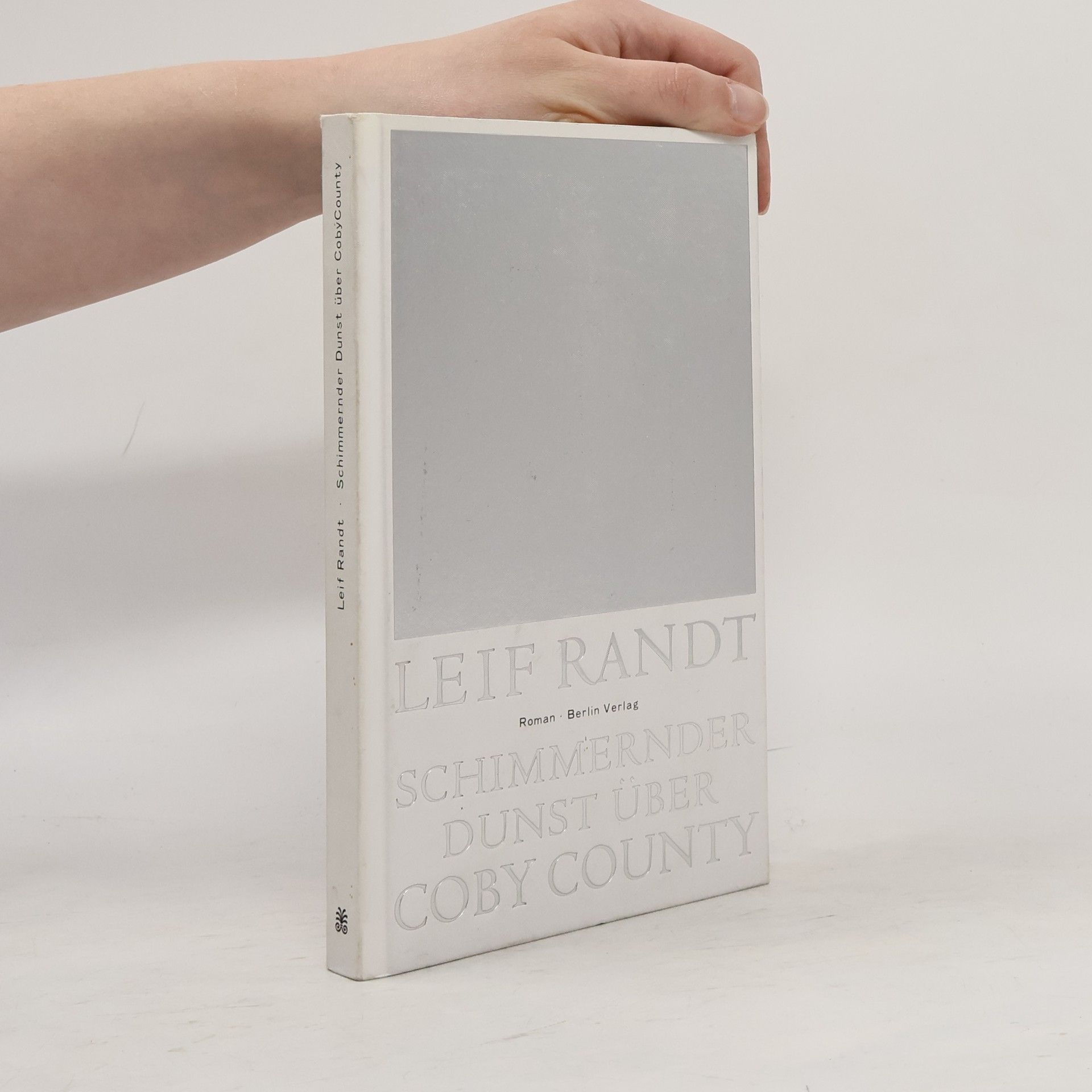 Leif Randt Schimmernder Dunst über Coby County