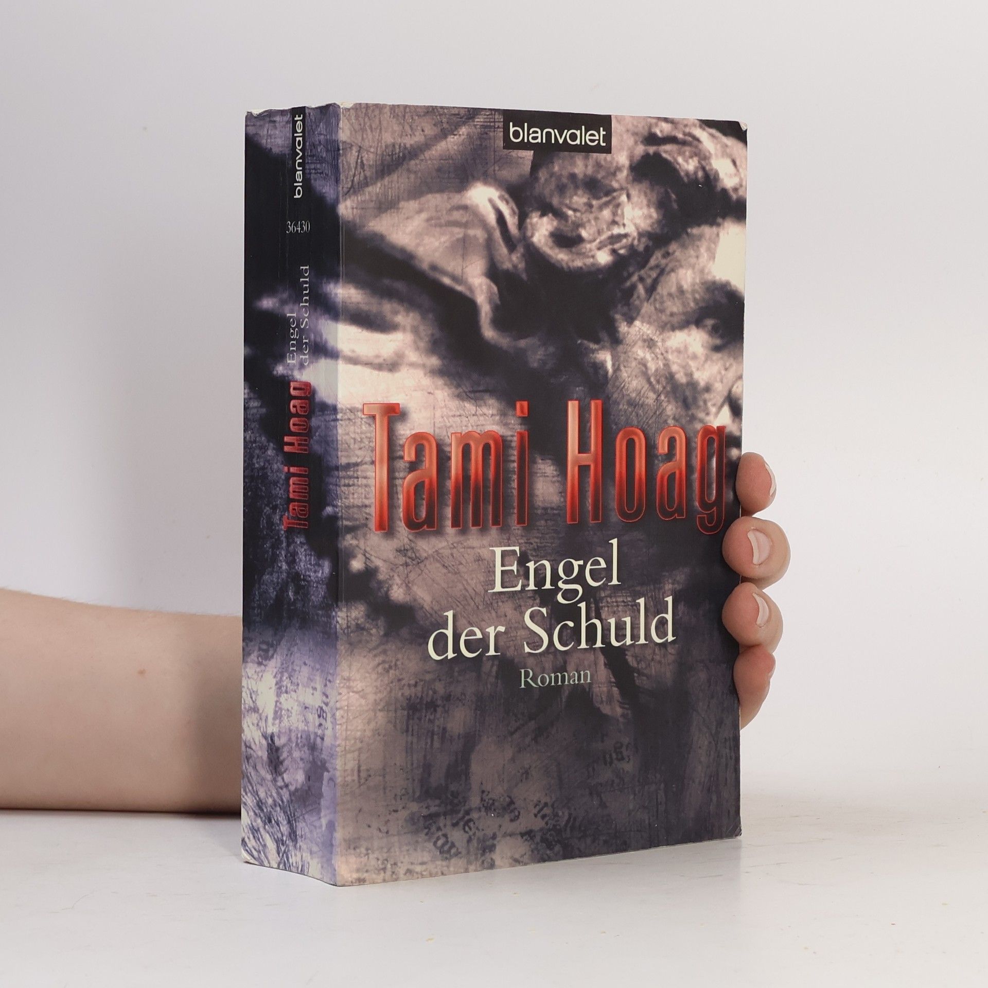 Tami Hoag Engel der Schuld